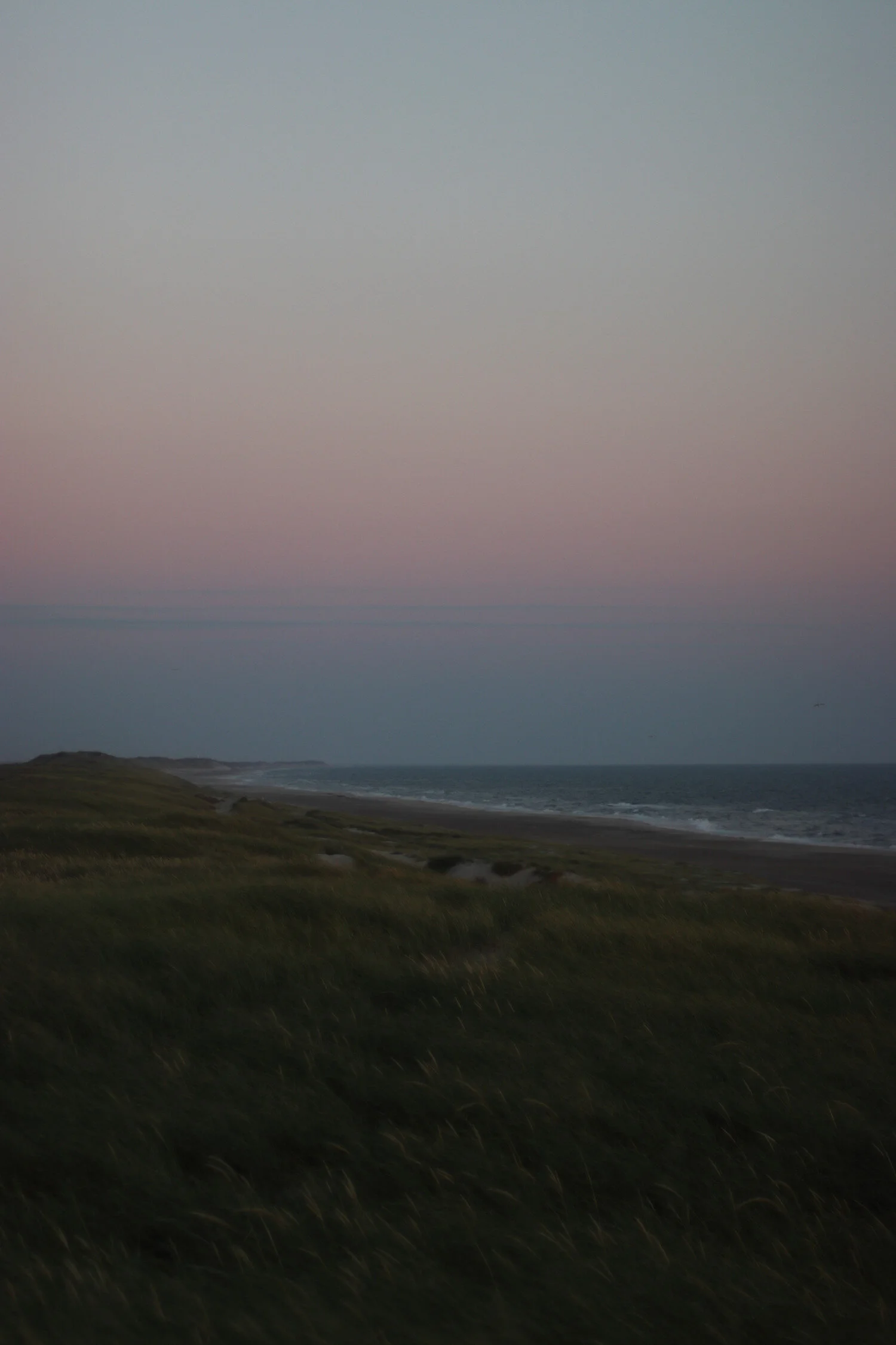Dieses Foto zeigt die Abendstimmung in den Dünen an der Nordsee in Dänemark.