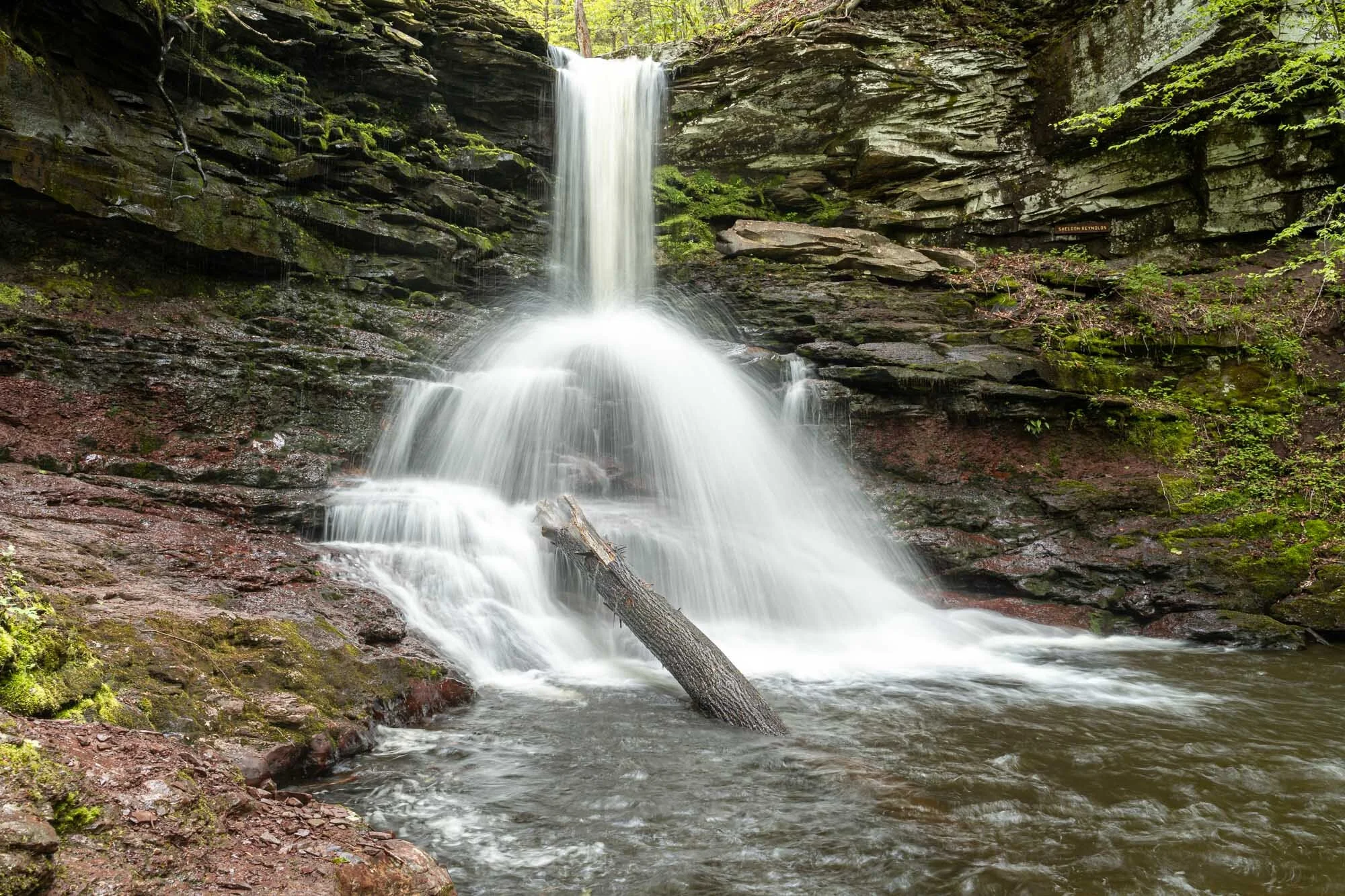Rickets-Glenn-Falls.jpg