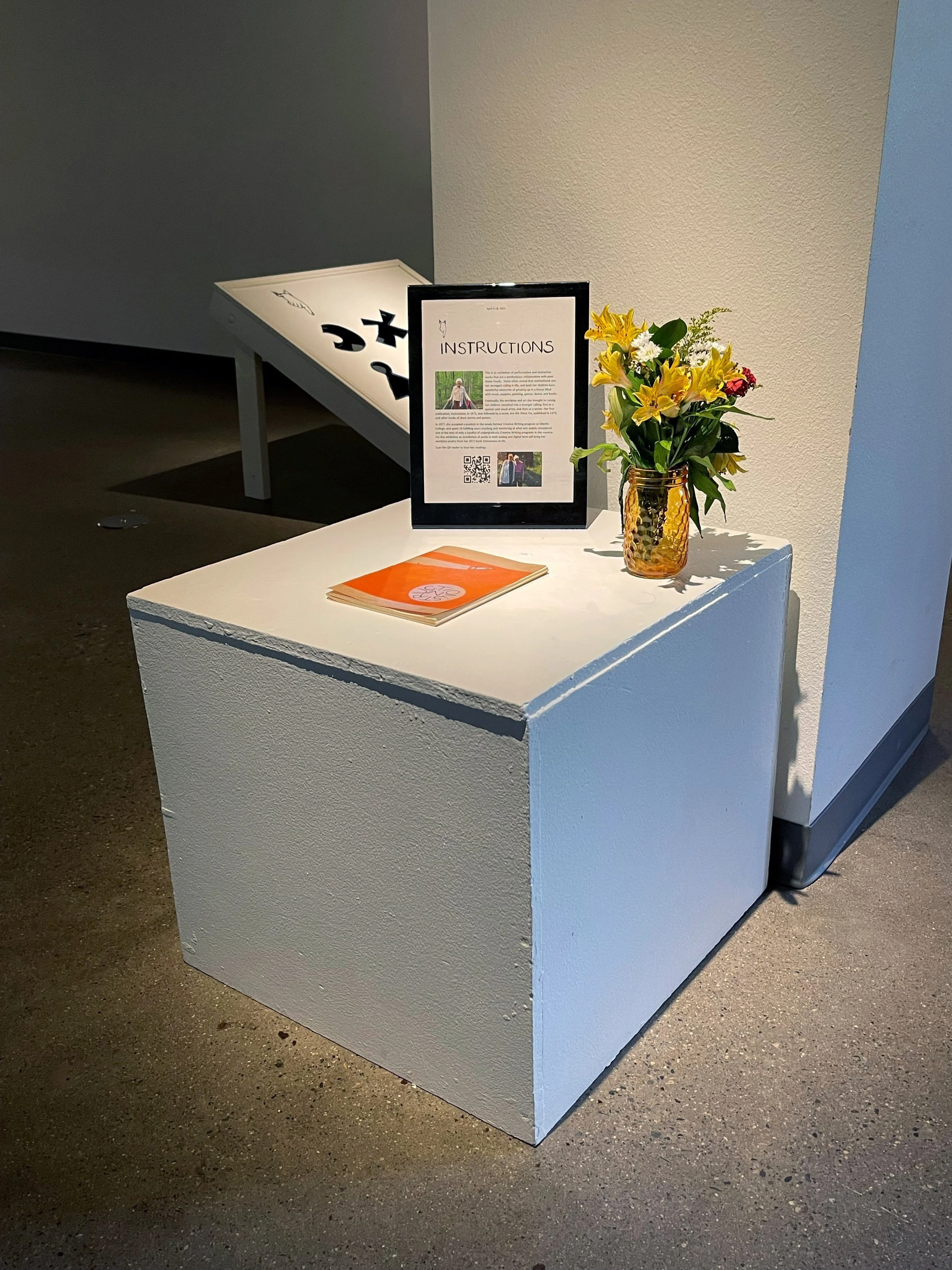 Gallery Installation: The book that started it all.