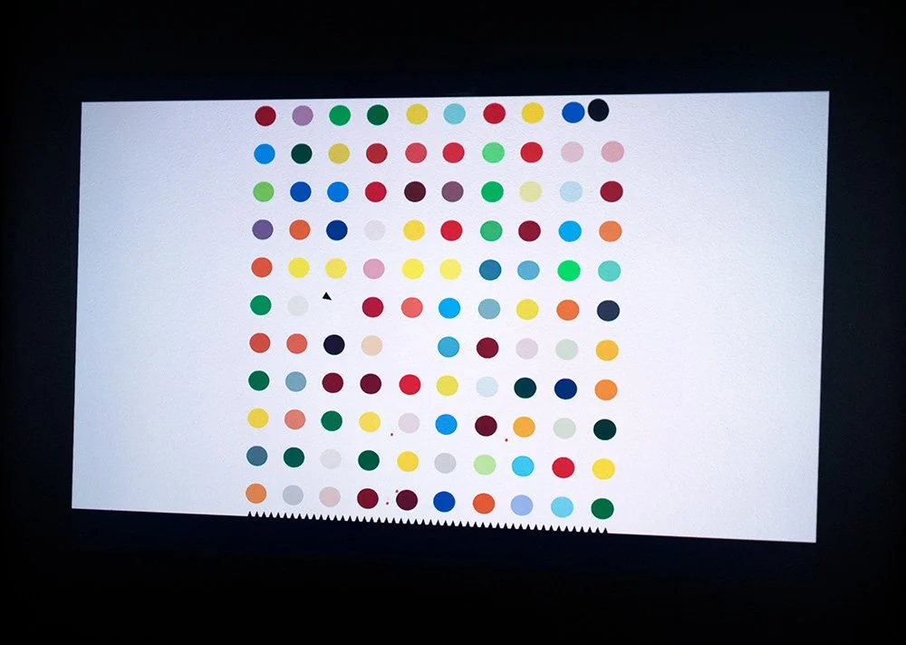 Theresa Devine, Spot Games, Installation View, Here I Am Right Where I Shouldn't Be, detail 02