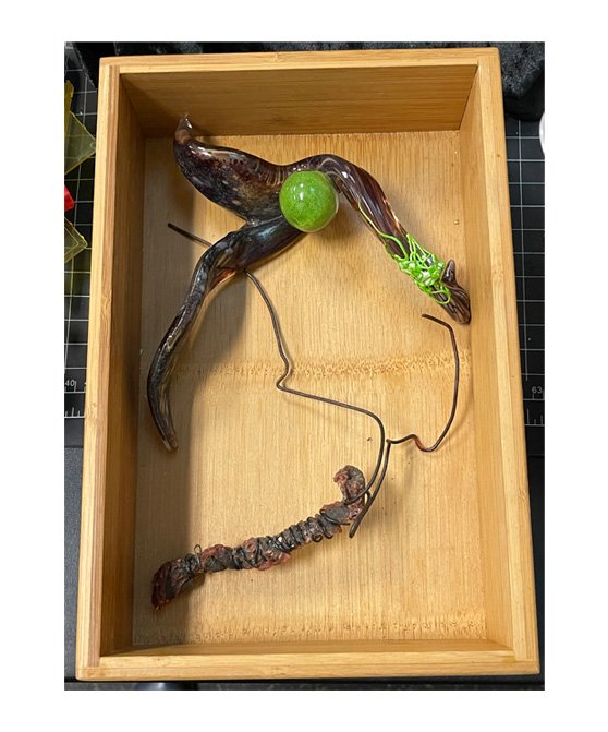 Triggered: "Dobbs v. Jackson Women's Health Organization," Assemblage: Blown glass and paint, Wire hanger with red wax on fabric in Wooden Box