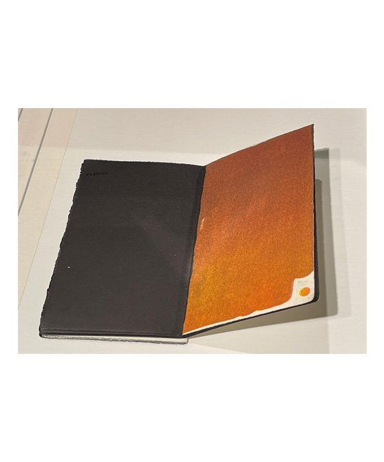 Beyond What You See: "No Sense of Mouth" - a hand printed 26 page book. 3 color Lithography, screen printed text