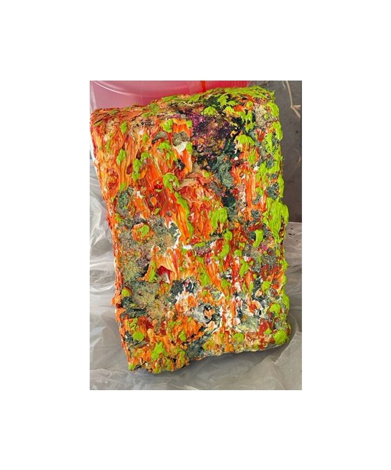 Working Title: Color Oil Painting 05