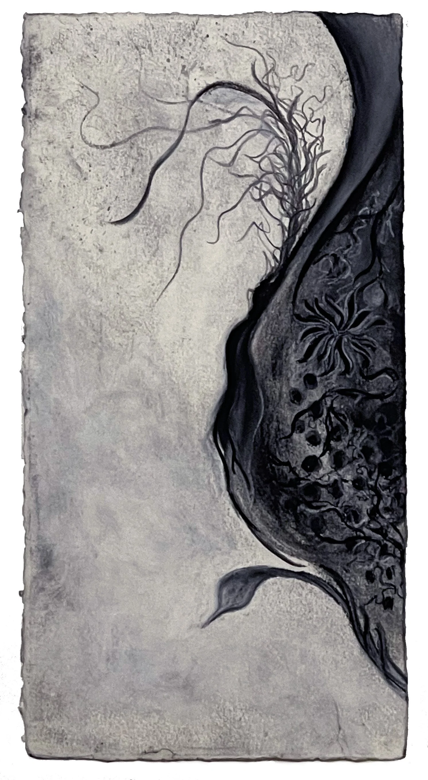 Growth/Croissance: Charcoal and Pastel on Arches, 2025