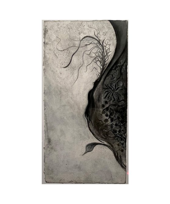 Beyond What You See: "Untitled" Charcoal and Pastel on Rives BFK paper