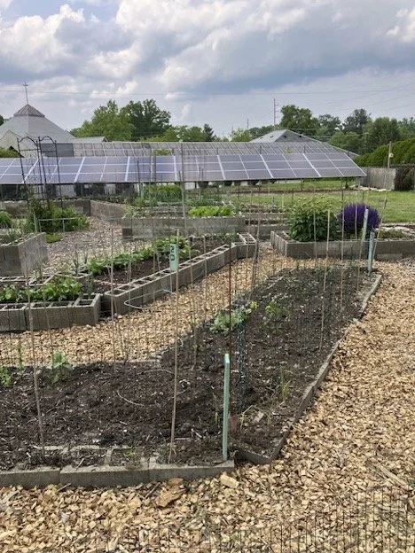  St. Thomas Lutheran Church Garden, 2023 