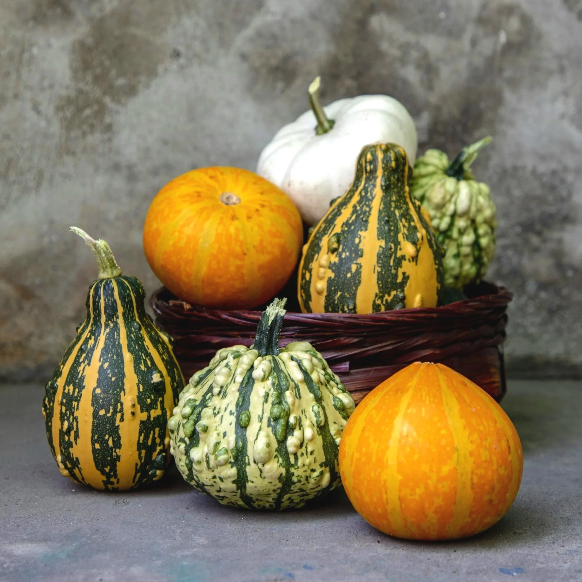 The Wonderful World of Gourds