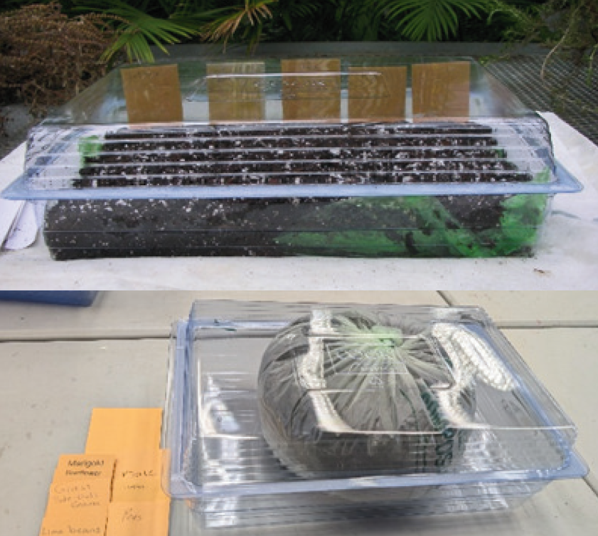Mission Accomplished – 2026 Hilltop Seed Kits