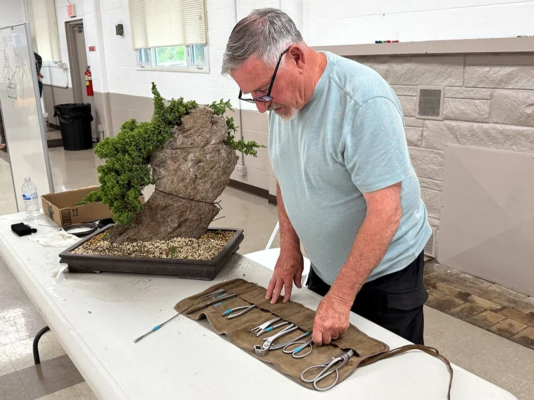 continuing-ed-bonsai-1.jpg