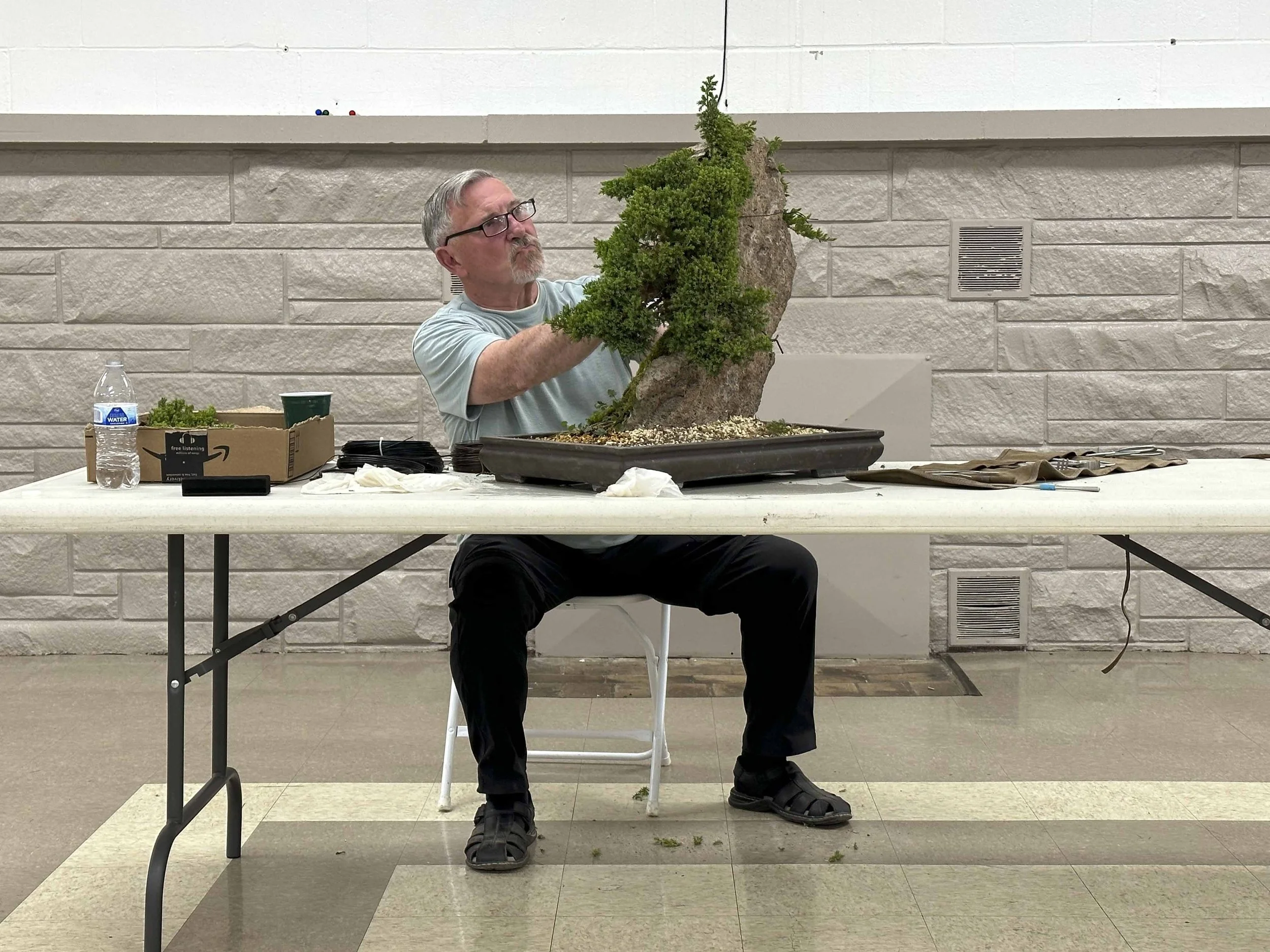 continuing-ed-bonsai-2.jpg