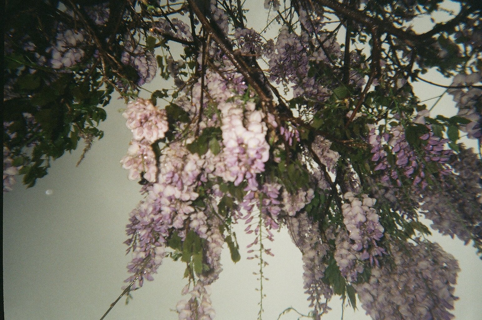 56790023.JPG