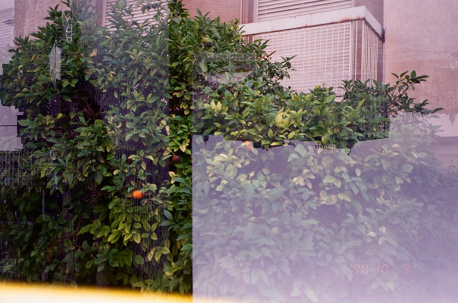 05640022.JPG