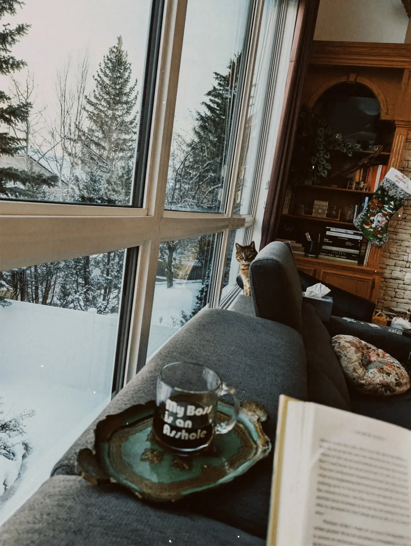 ✨ WEEKLY GLIMMERS ✨ 

1. Gentle mornings

2. Kitten decided she's a gift this year

3. Silver tinsel 

4. Worksheets from @ouiwestudio OOOC

5. Watching @sallymannofficial on @thedarkroomrumour 

6. Matching sweatsuit + tea = winter delight

7. Made 