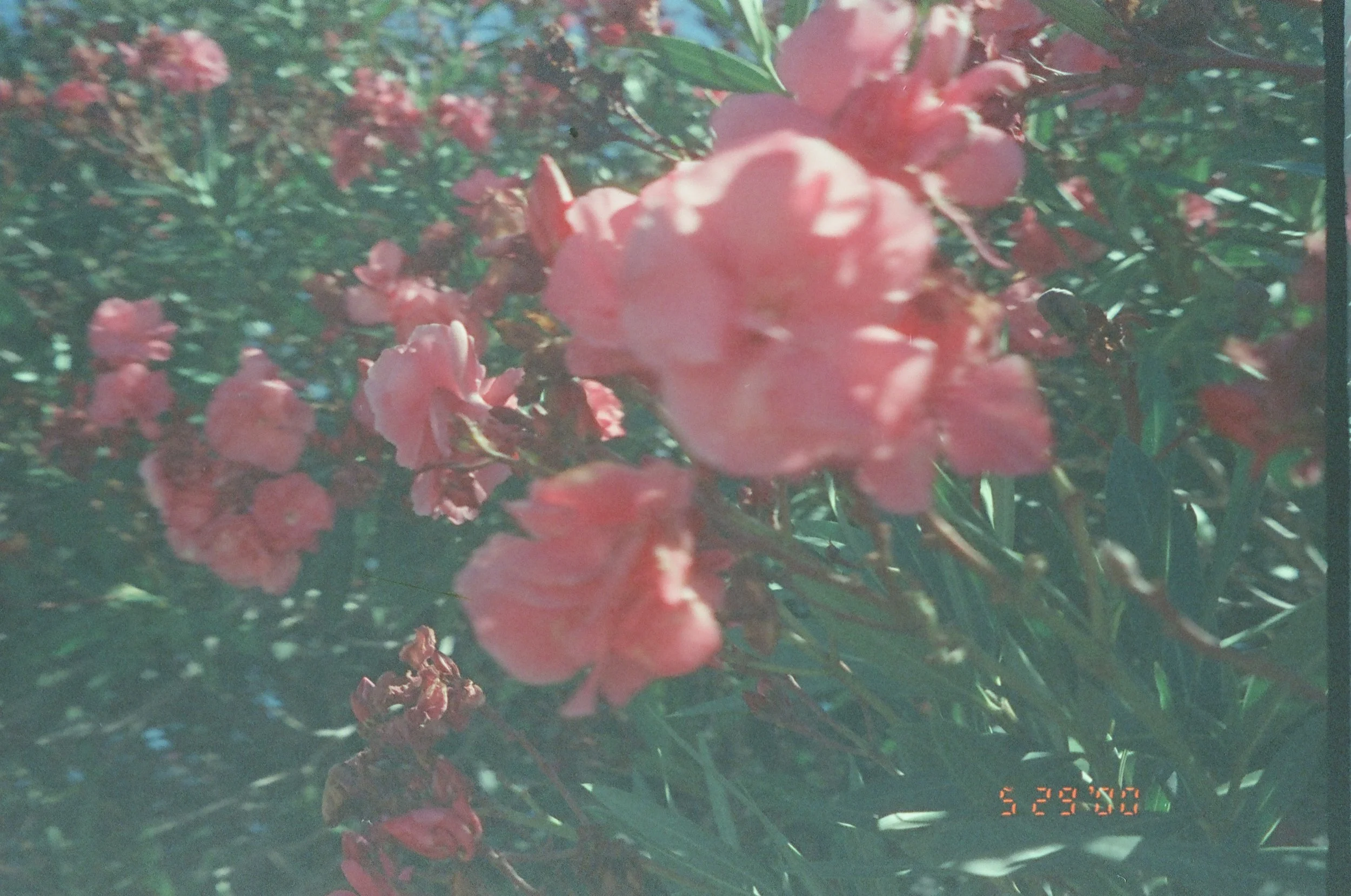 I am going to disappoint you