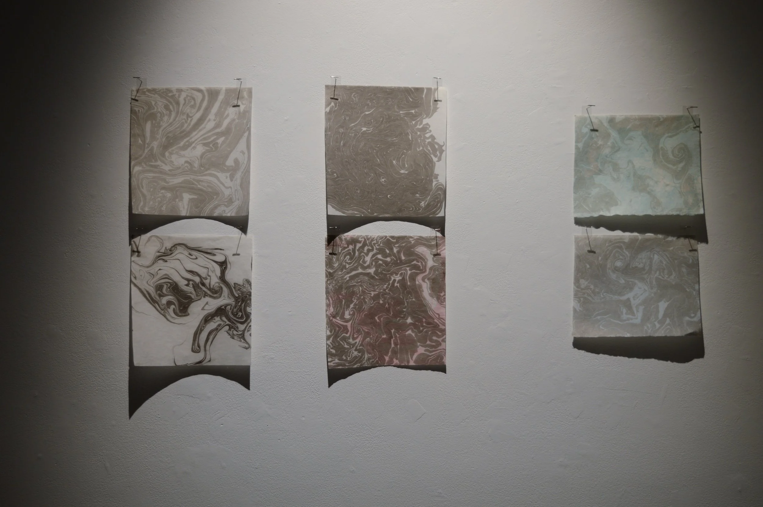 _DSC0920.jpeg