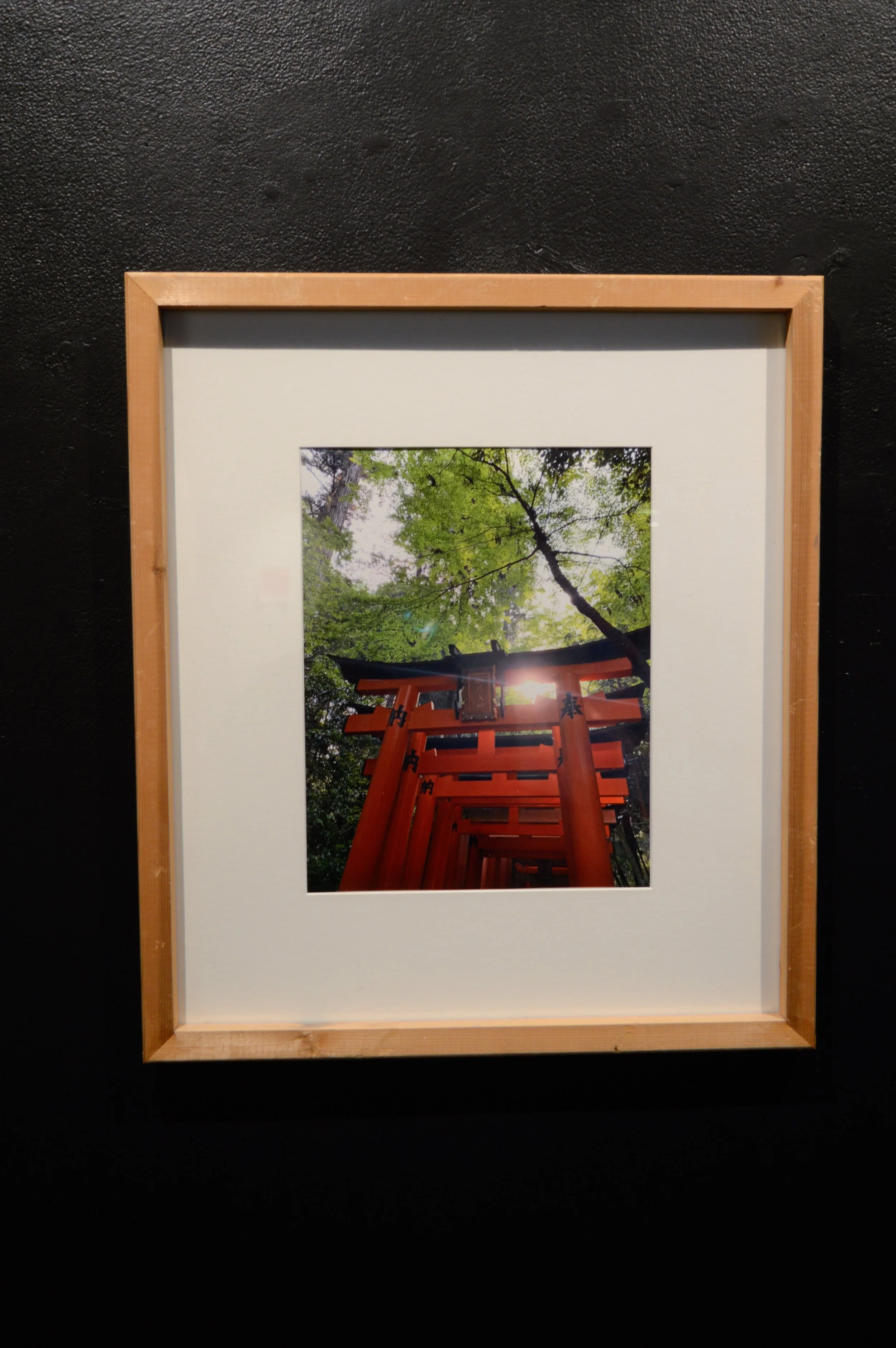 _DSC0867.jpeg