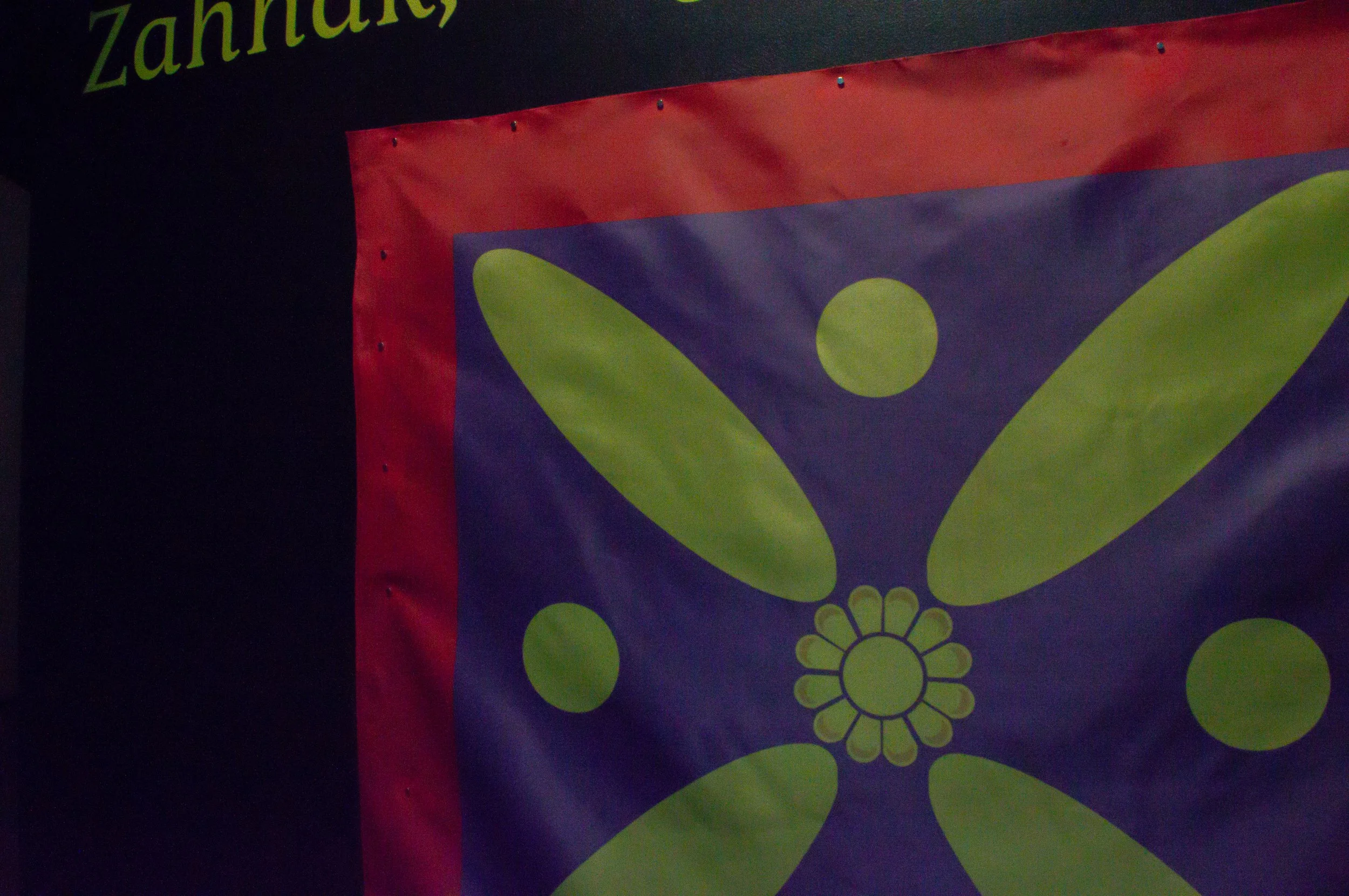 _DSC0237-1.jpeg
