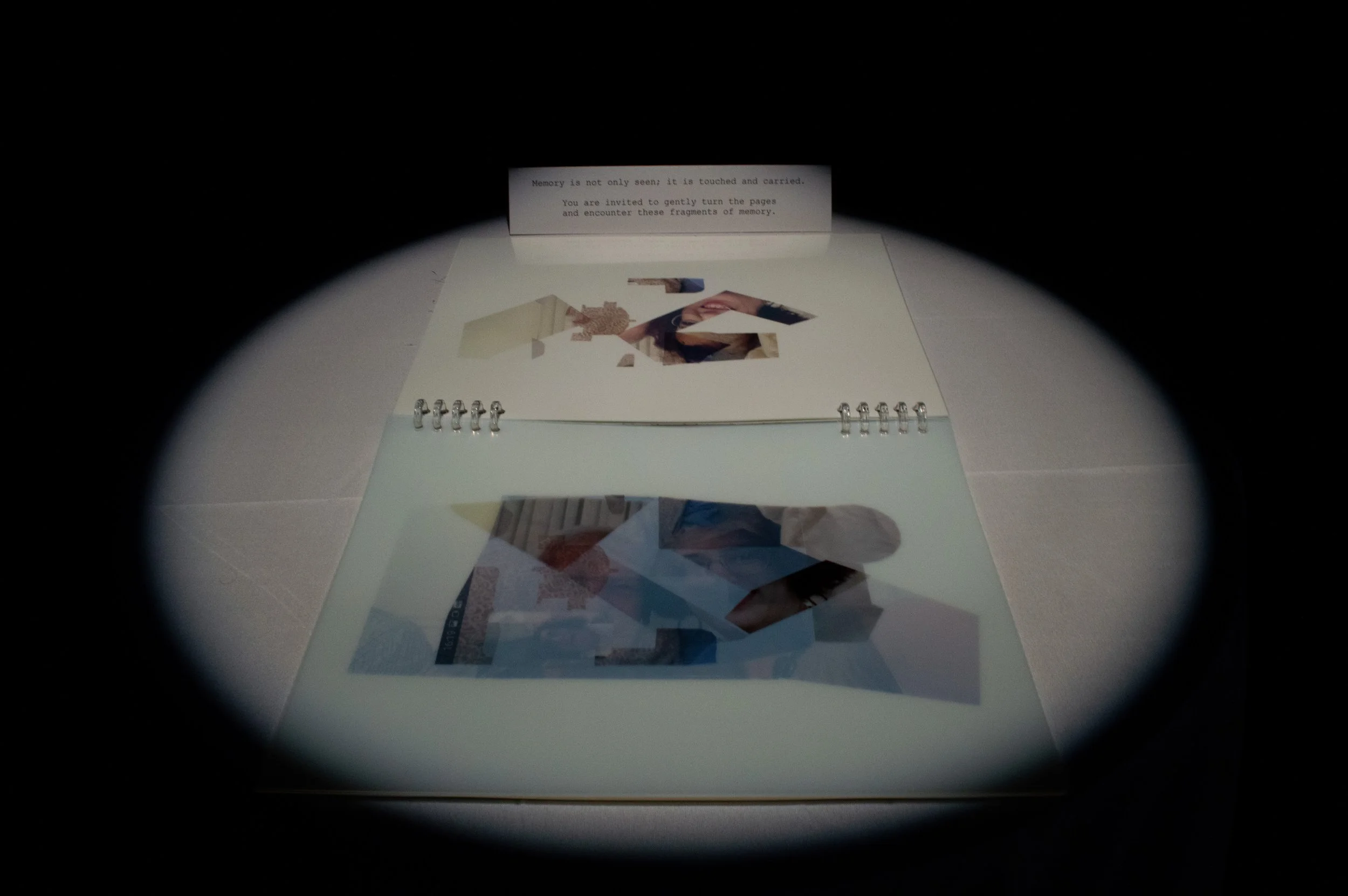 _DSC0078.jpeg