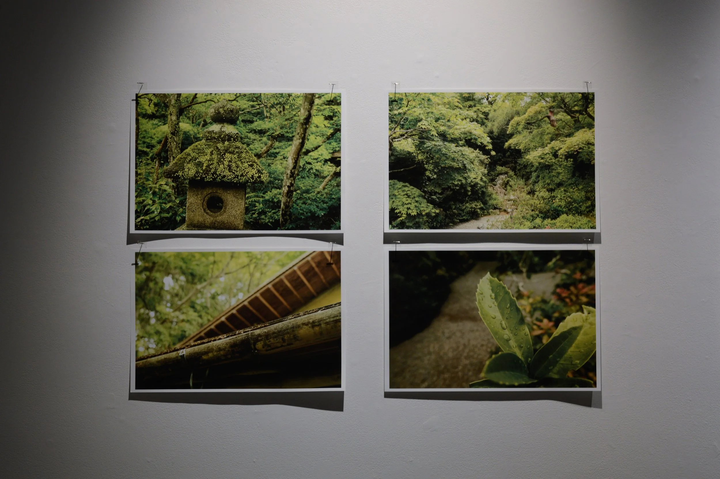 _DSC0935.jpeg