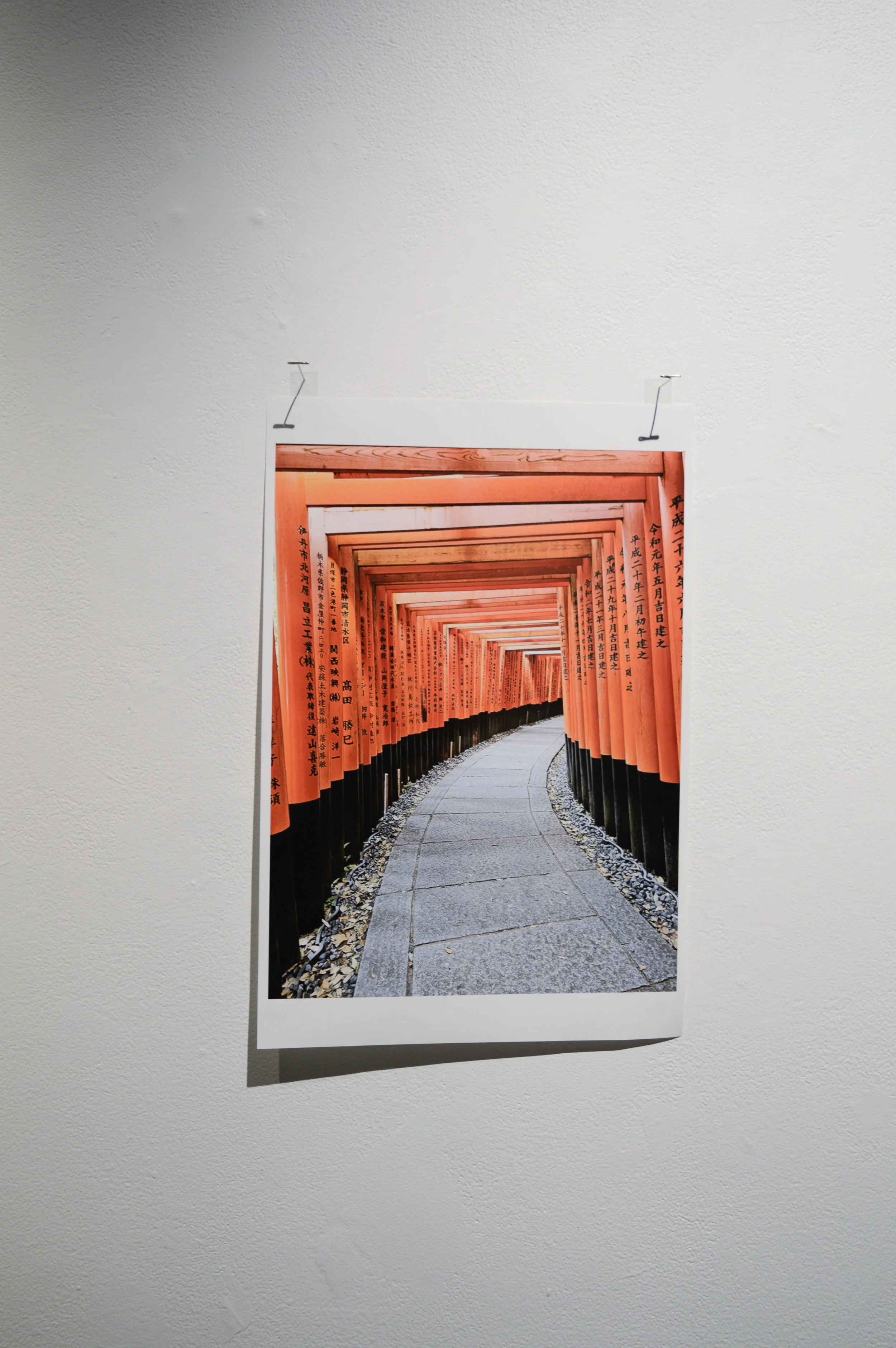 _DSC0949.jpeg