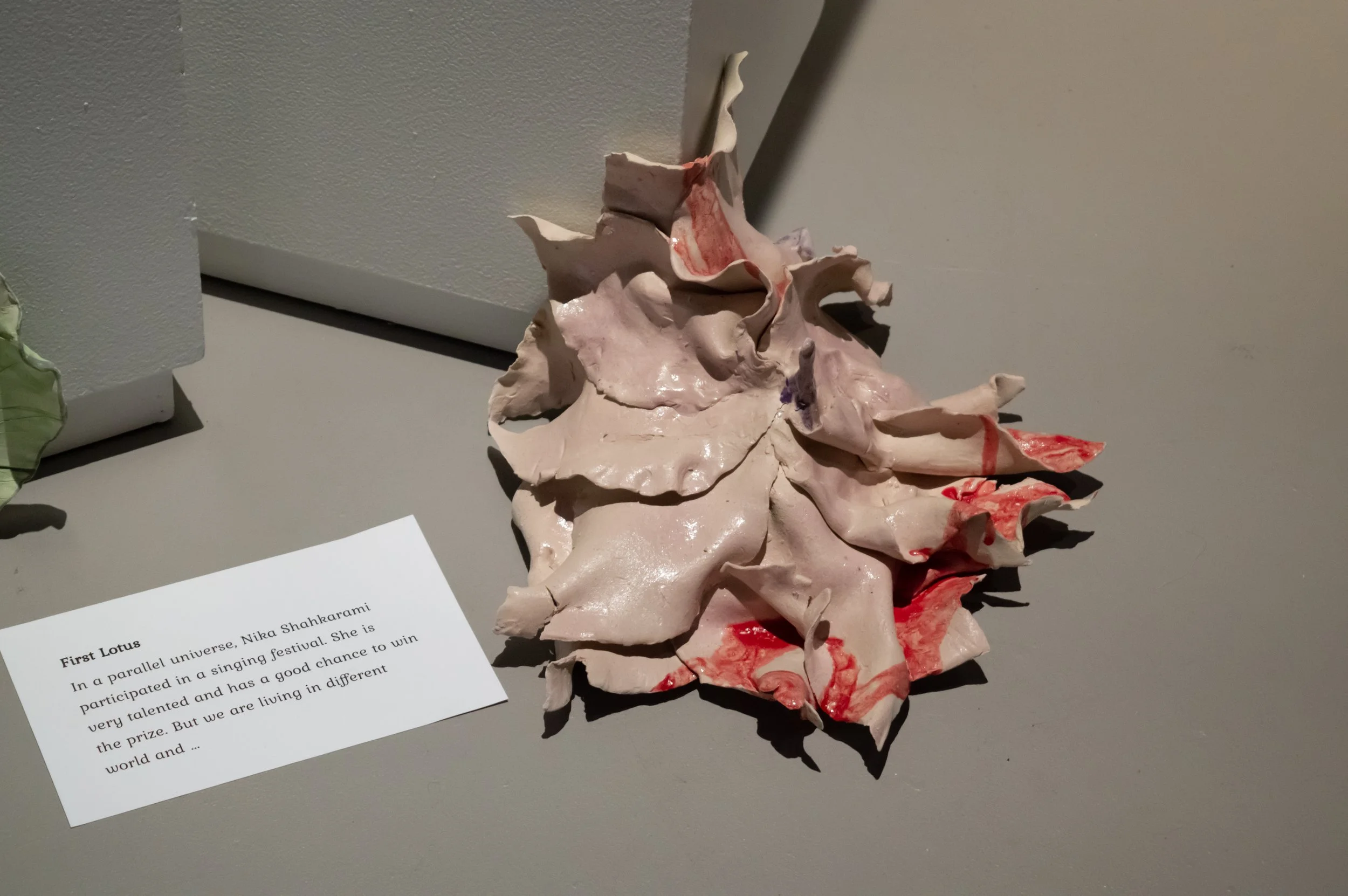 _DSC0202.jpeg