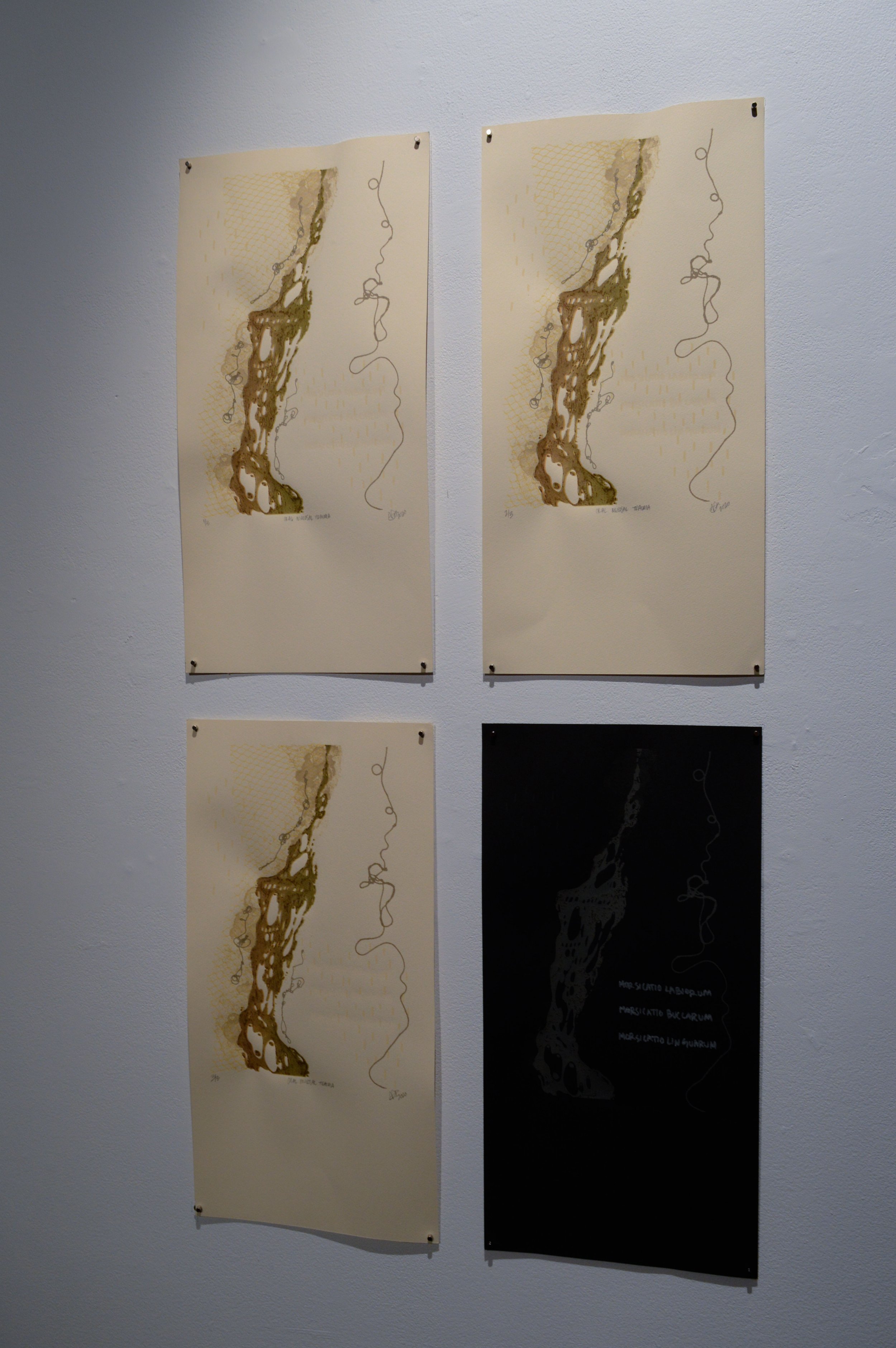 _DSC0081.jpeg