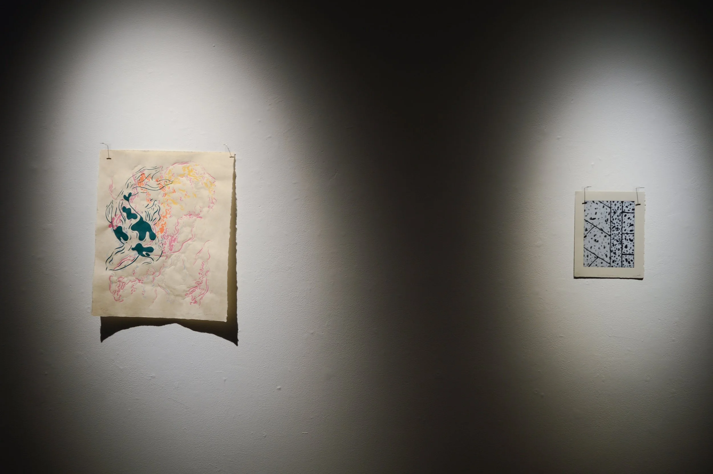 _DSC0944.jpeg