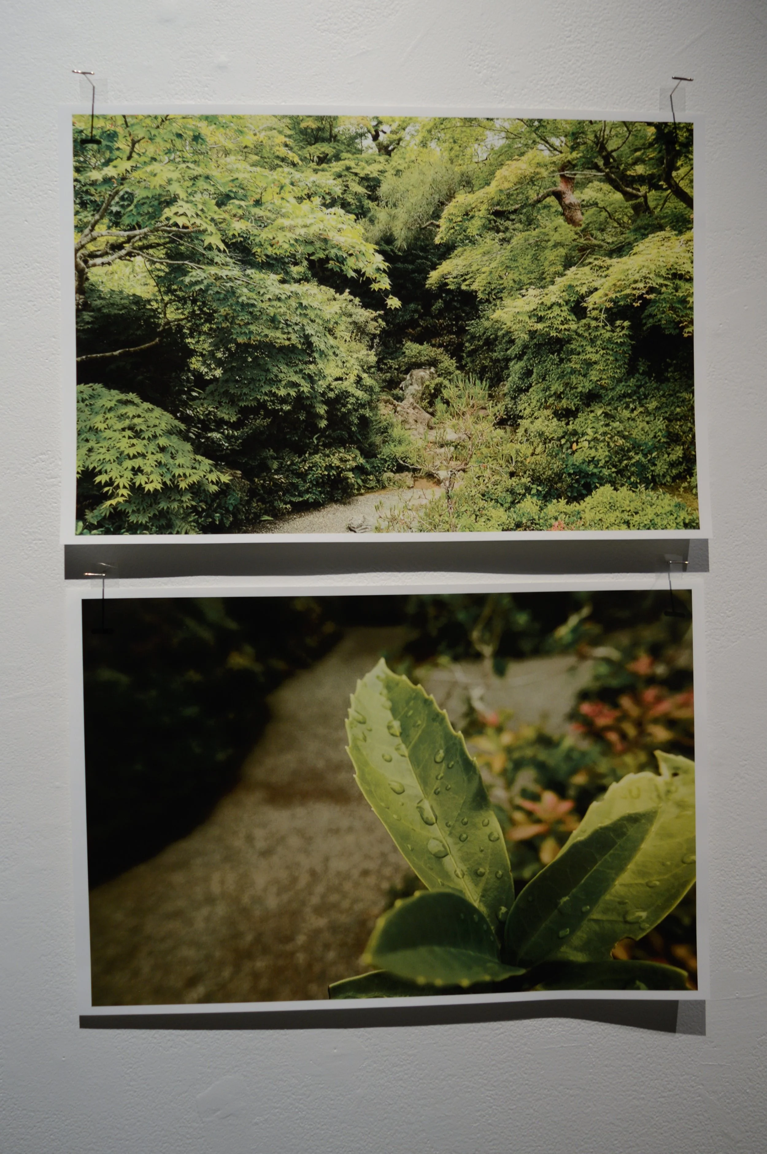 _DSC0954.jpeg