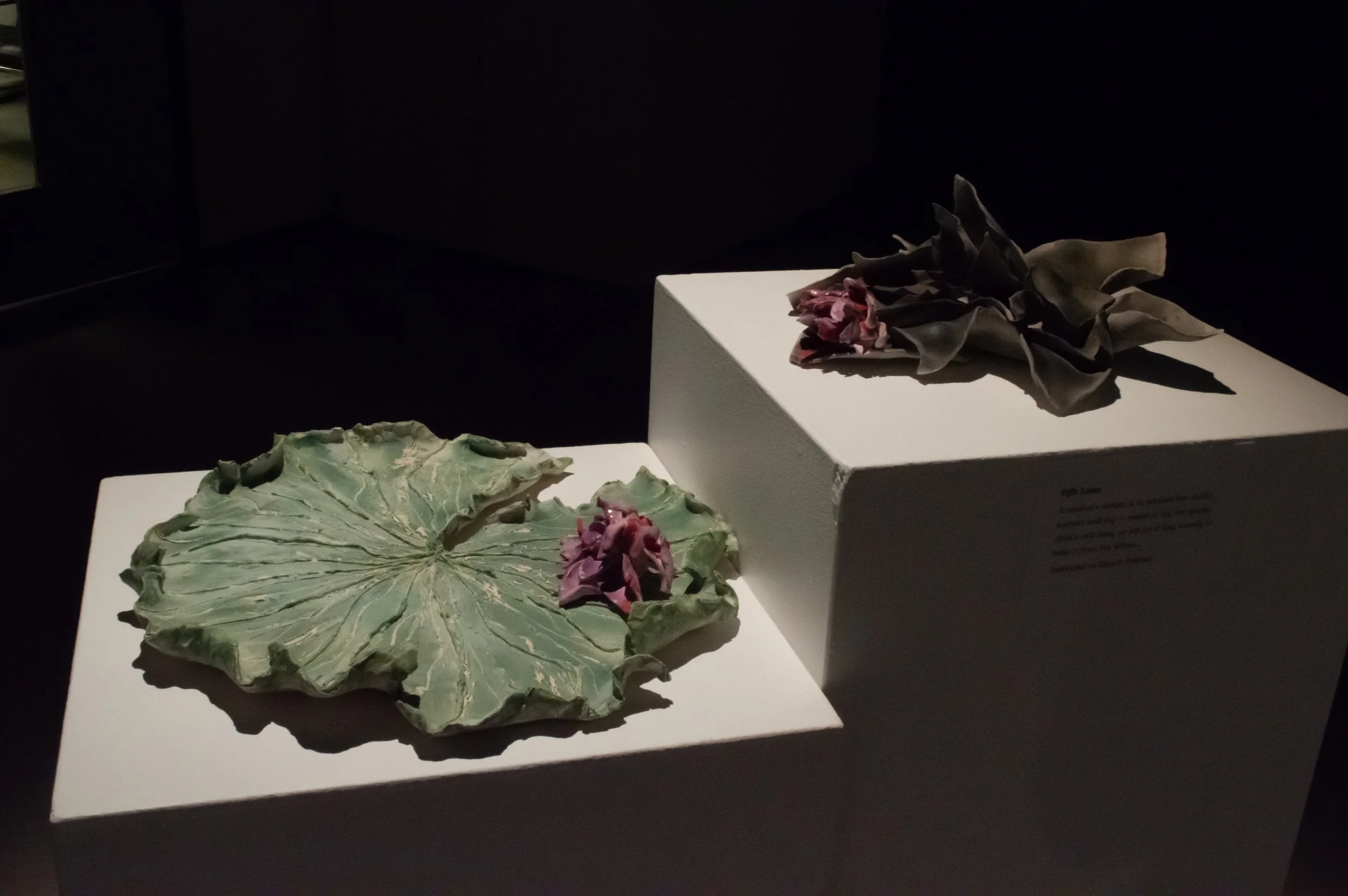 _DSC0222.jpeg