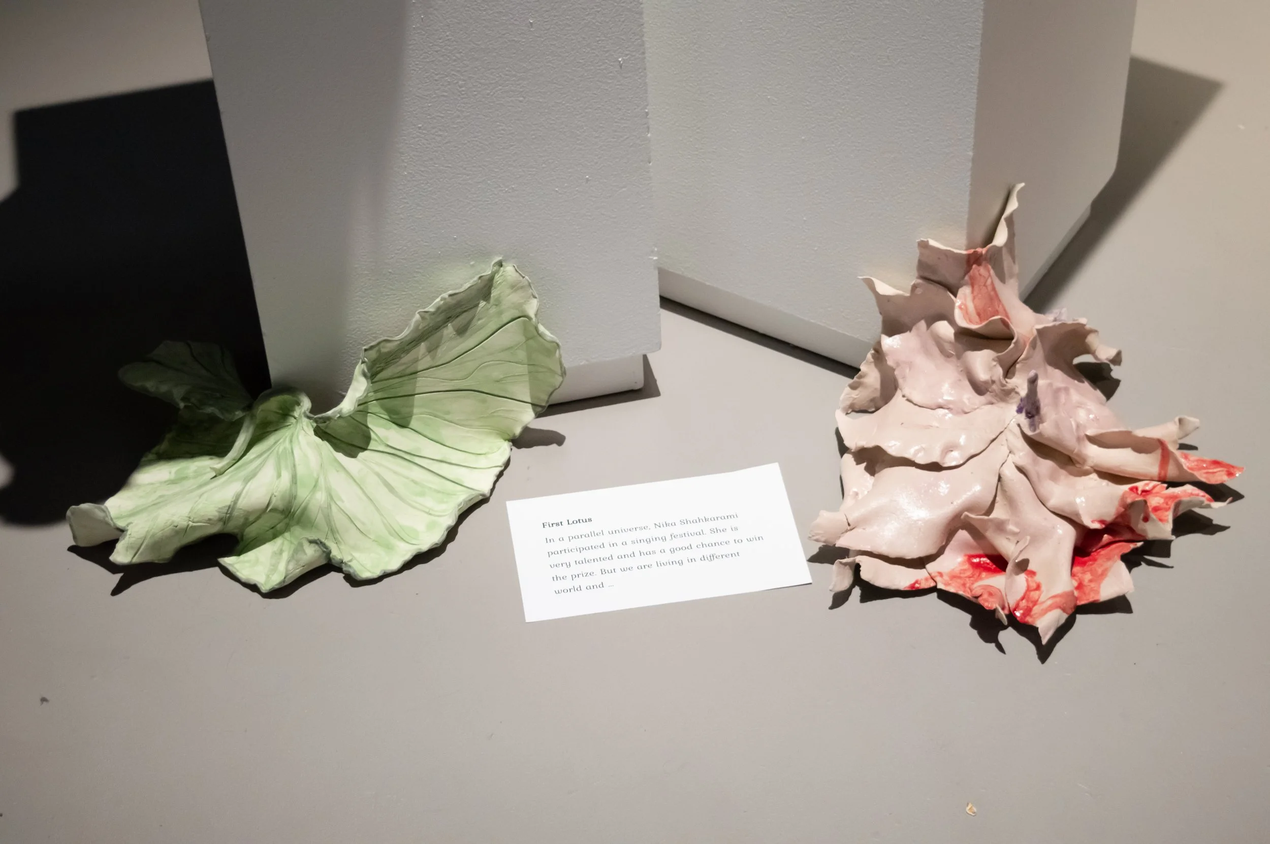 _DSC0204.jpeg