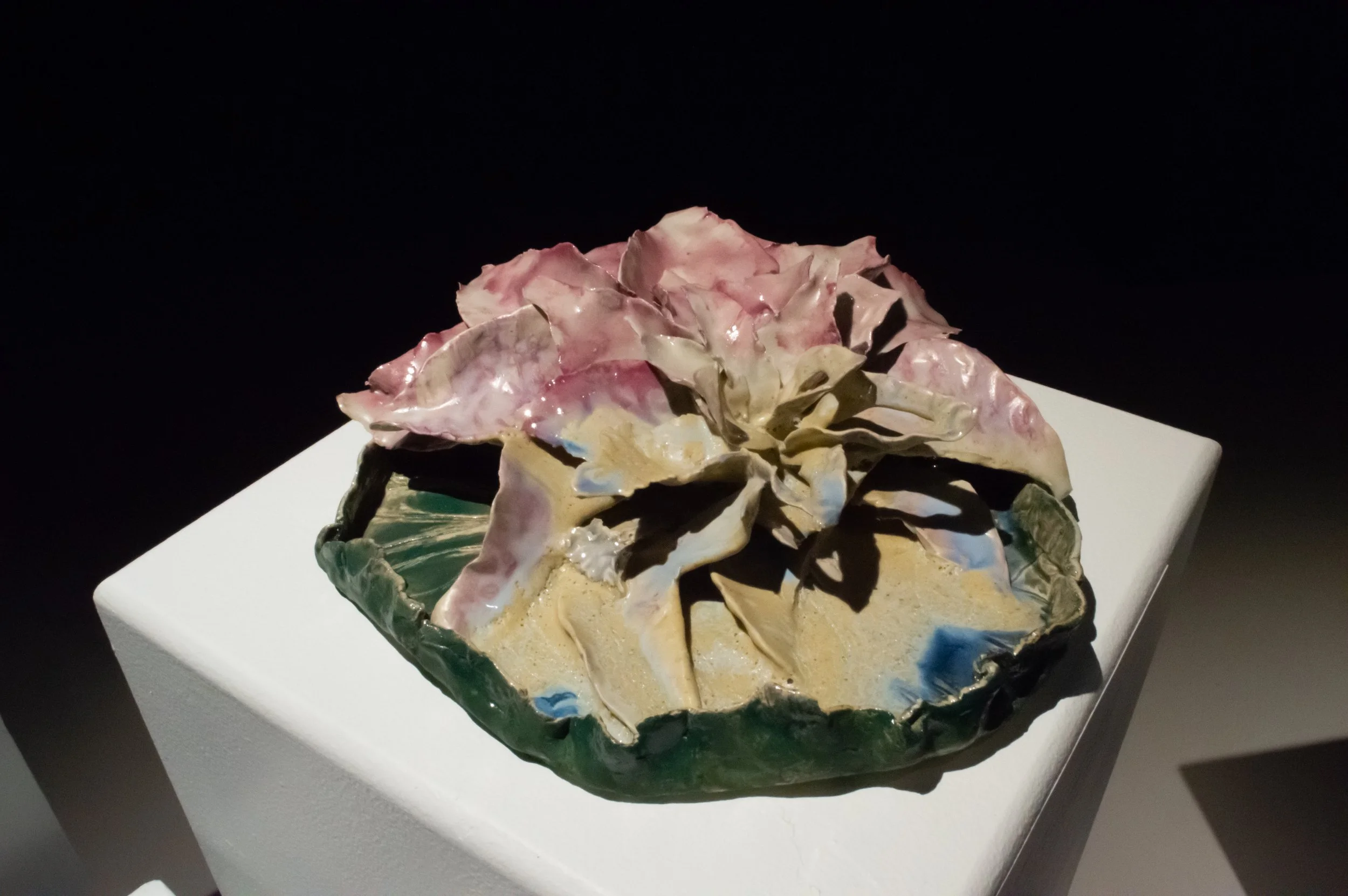 _DSC0226.jpeg