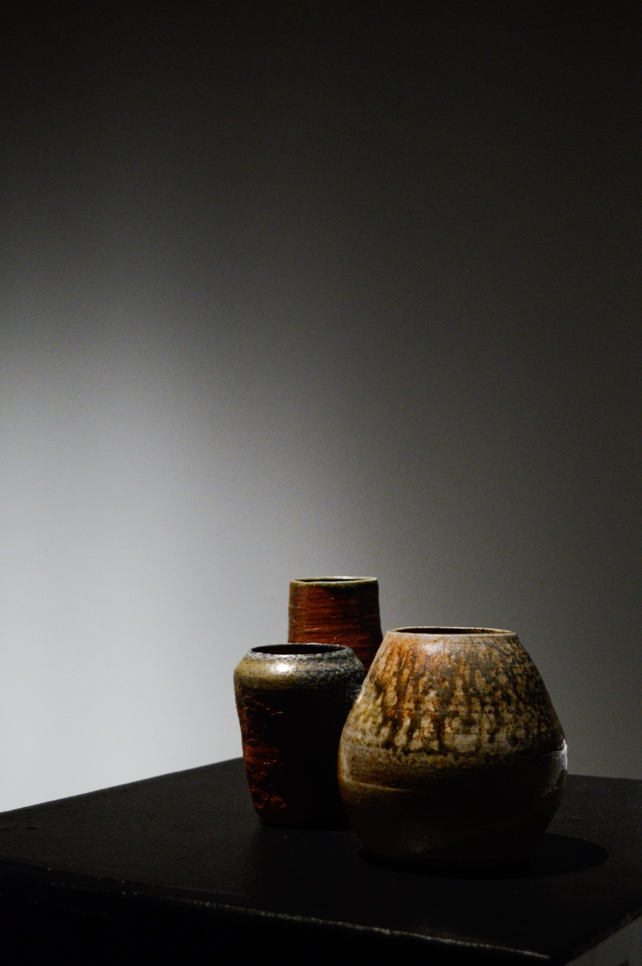 _DSC0077.jpeg