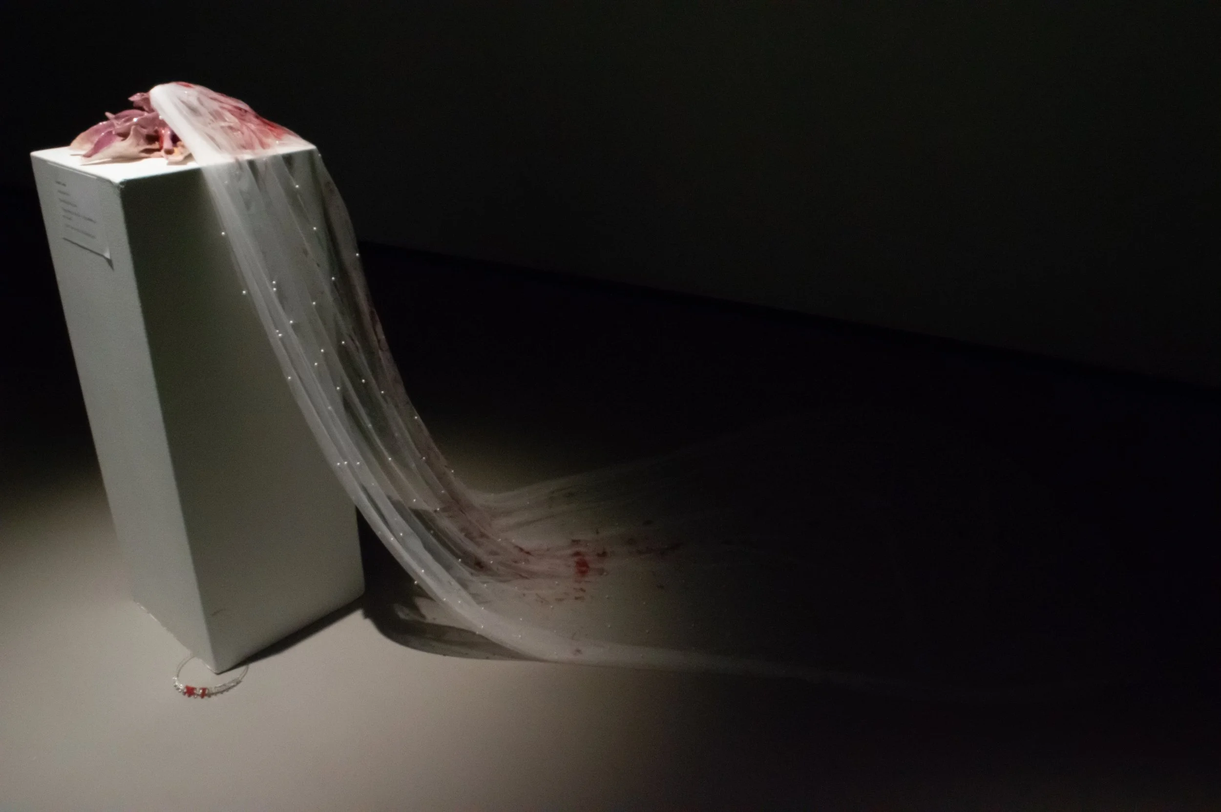 _DSC0217.jpeg