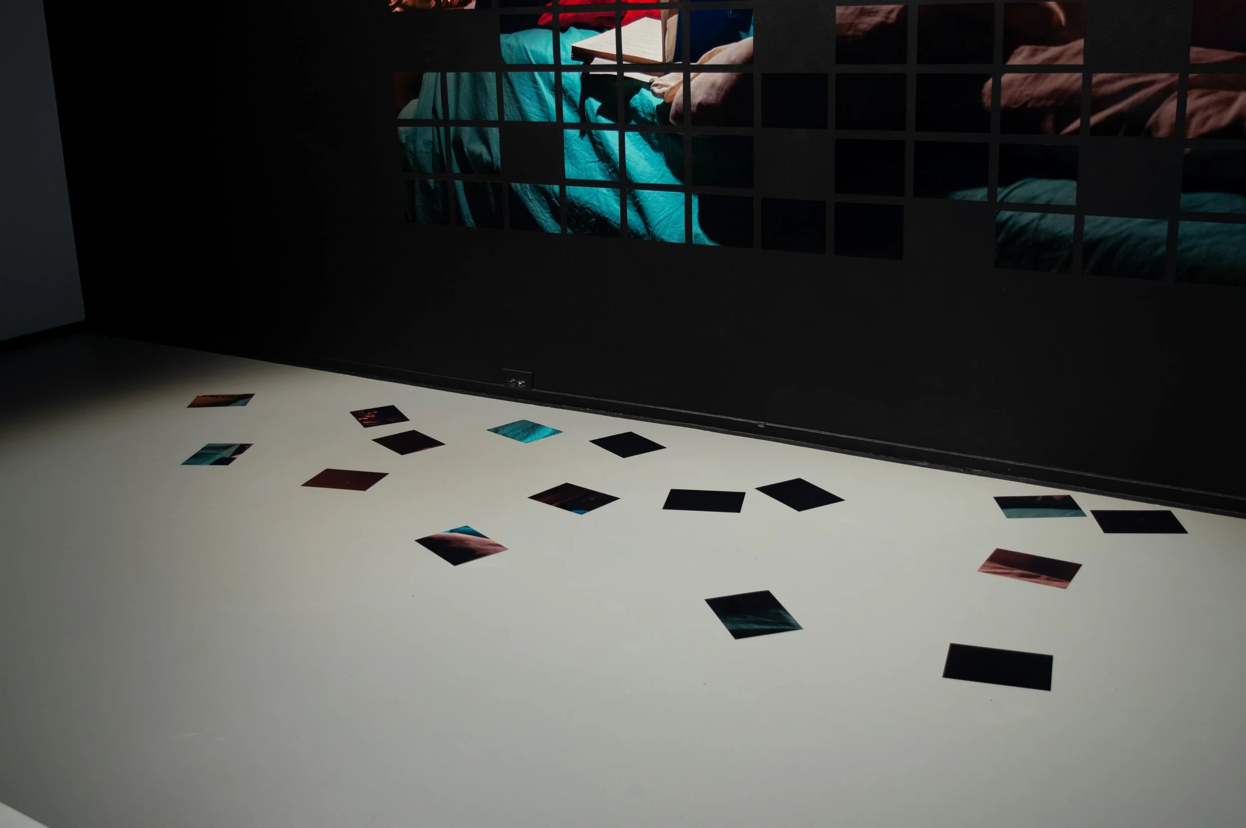 _DSC0013.jpeg