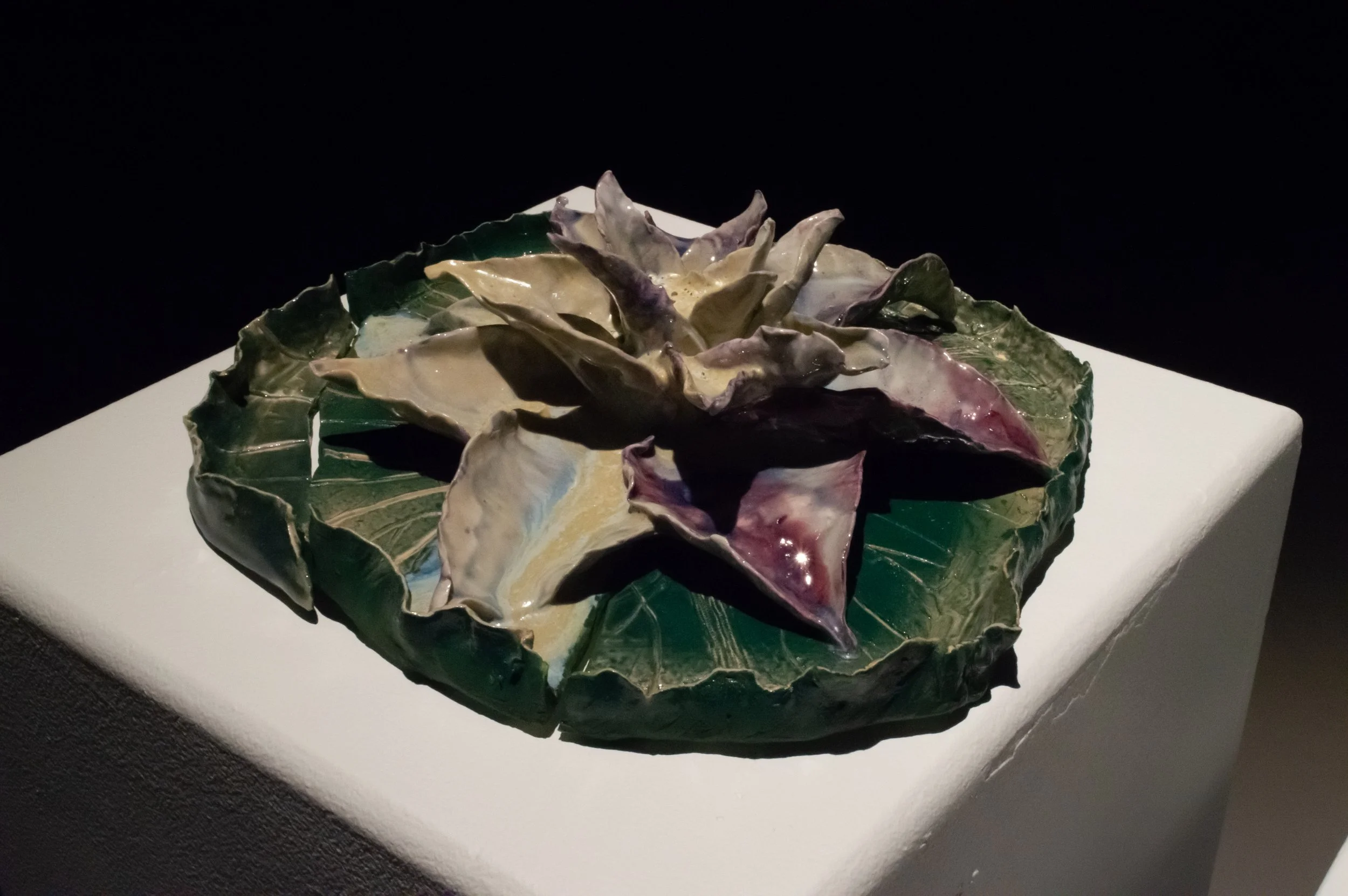 _DSC0224.jpeg