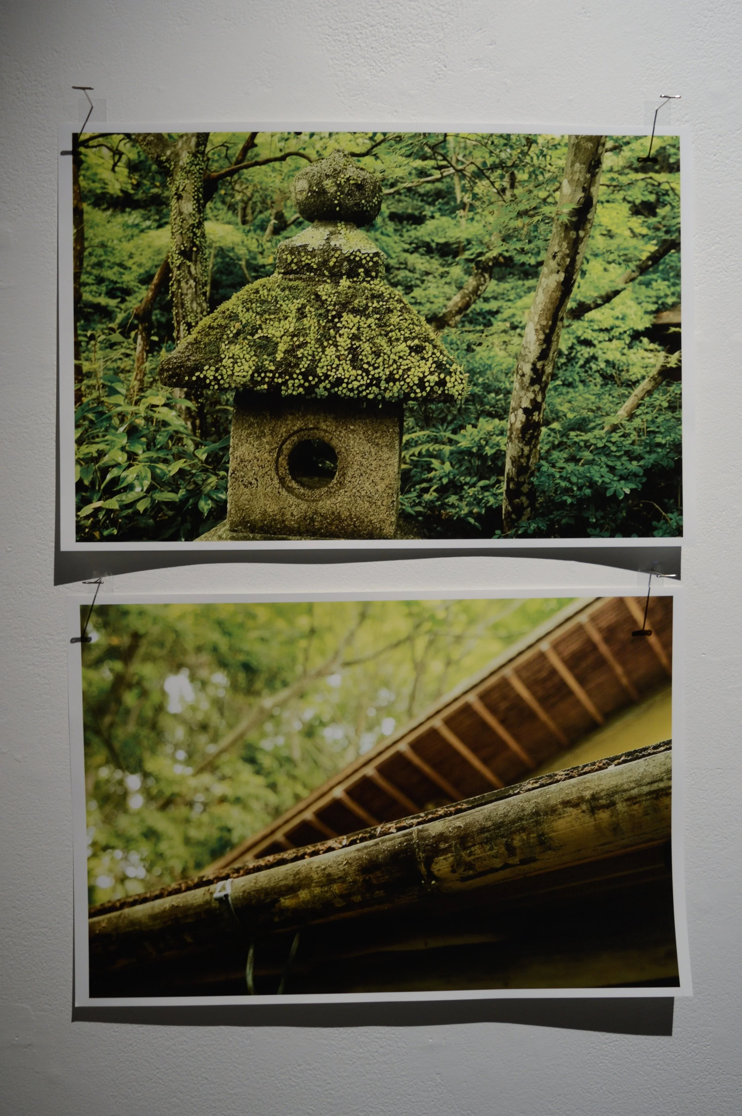_DSC0955.jpeg