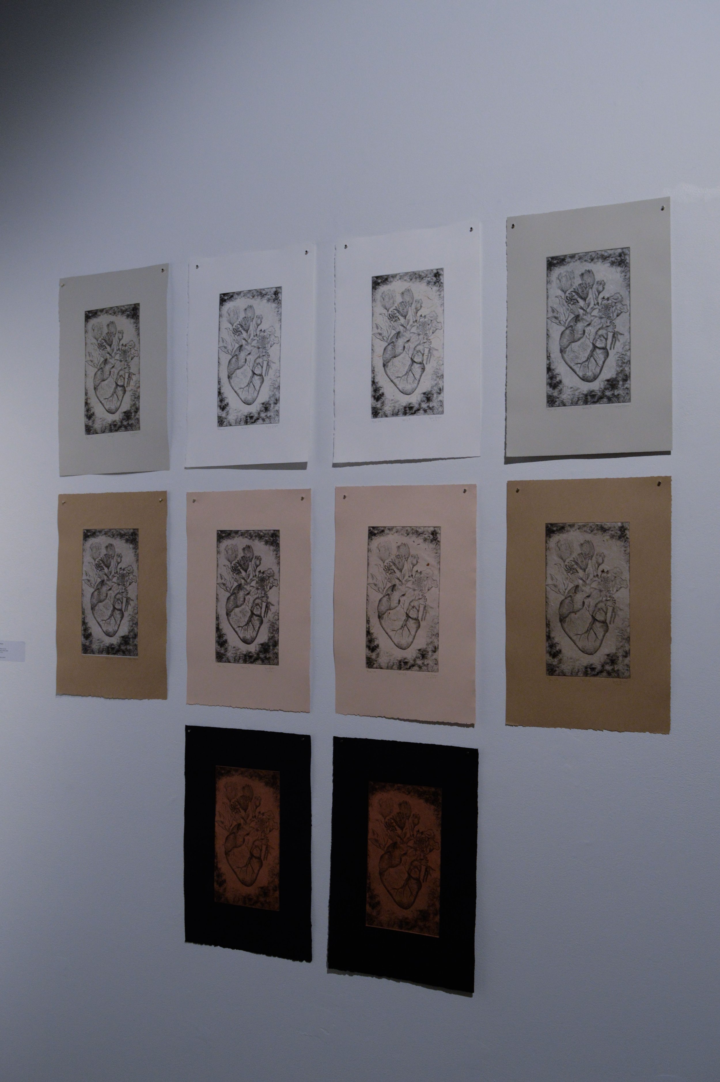 _DSC0019.jpeg