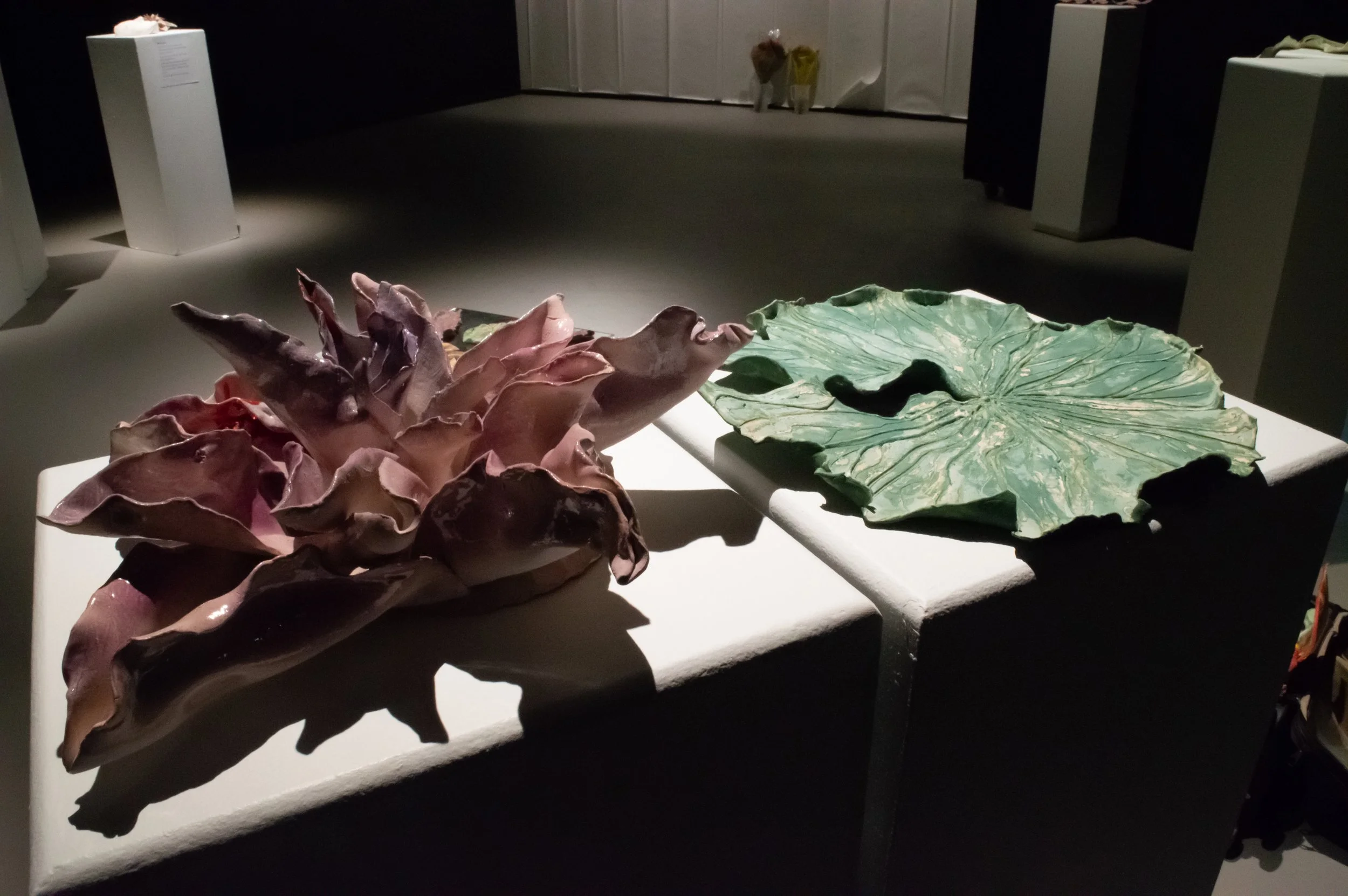 _DSC0211.jpeg