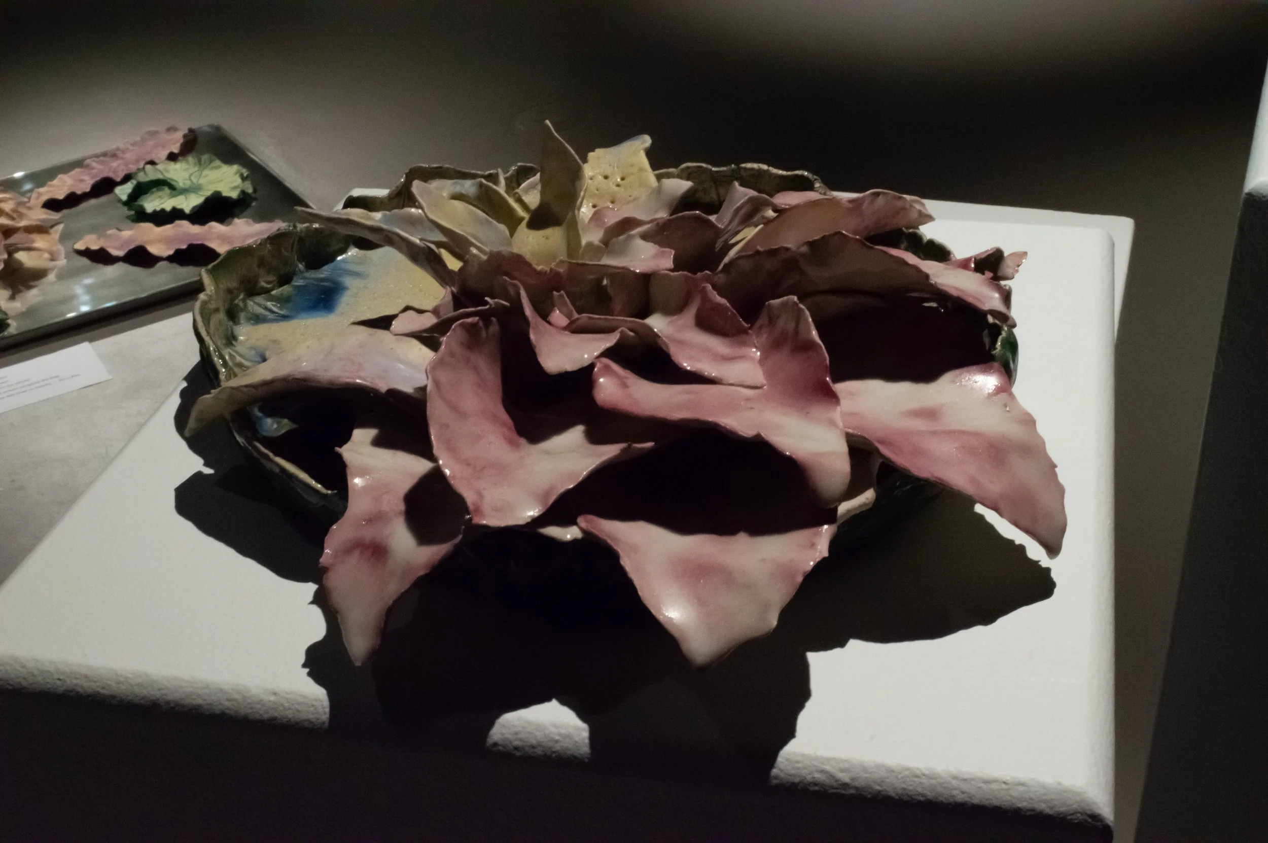 _DSC0227.jpeg