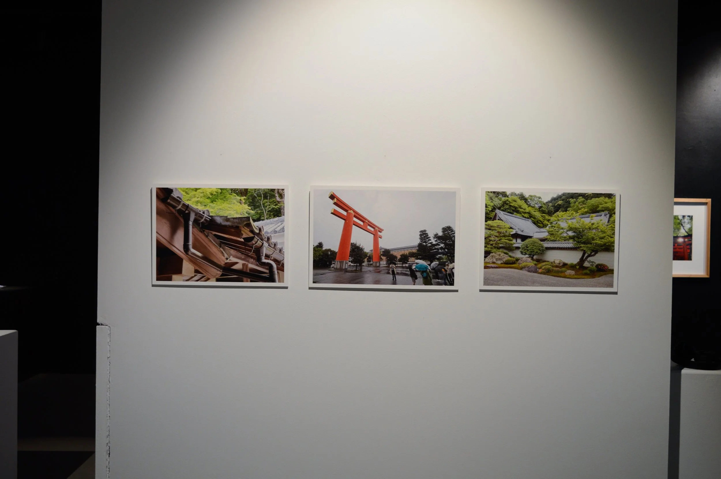 _DSC0885.jpeg