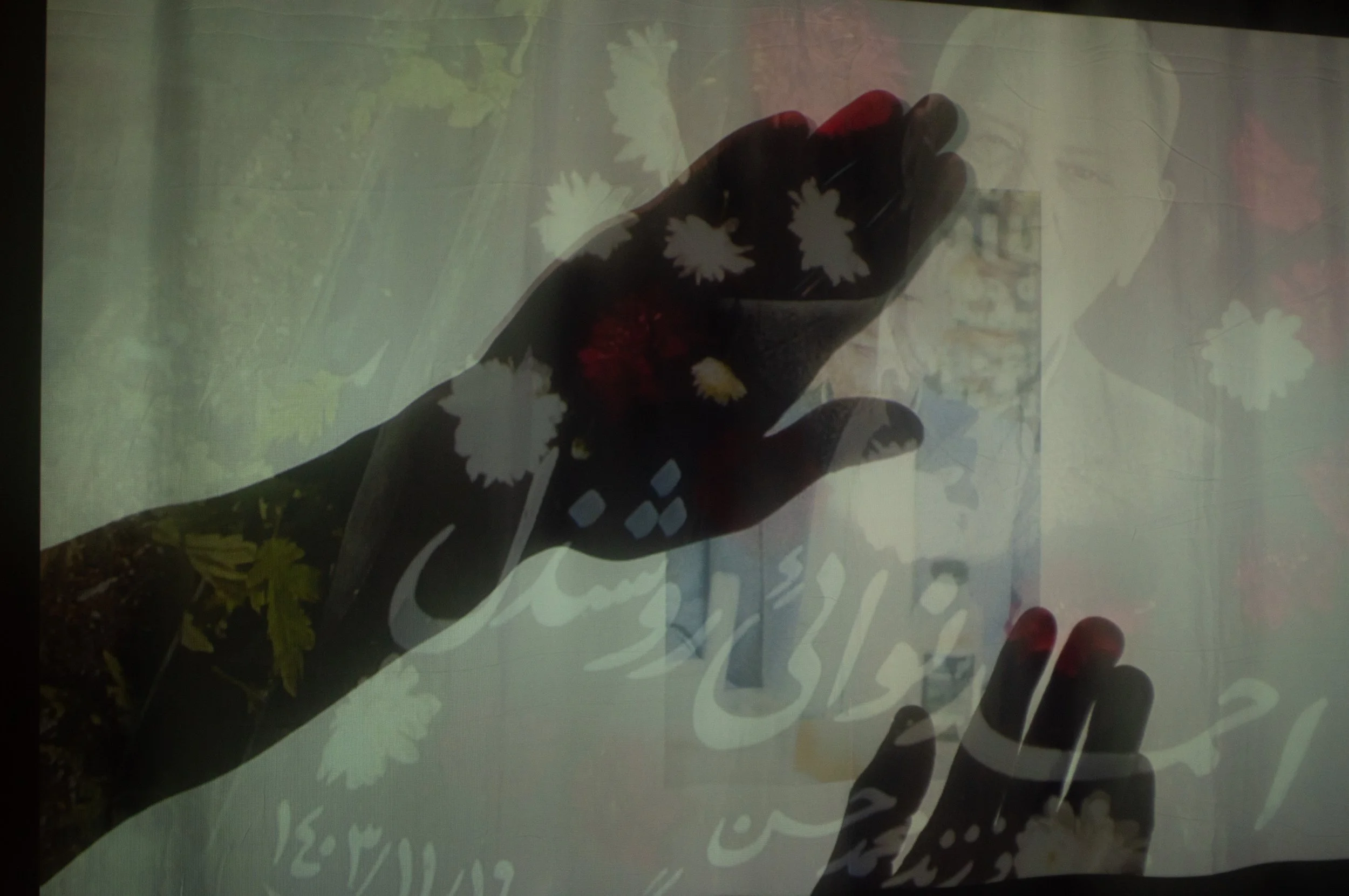 _DSC0166.jpeg
