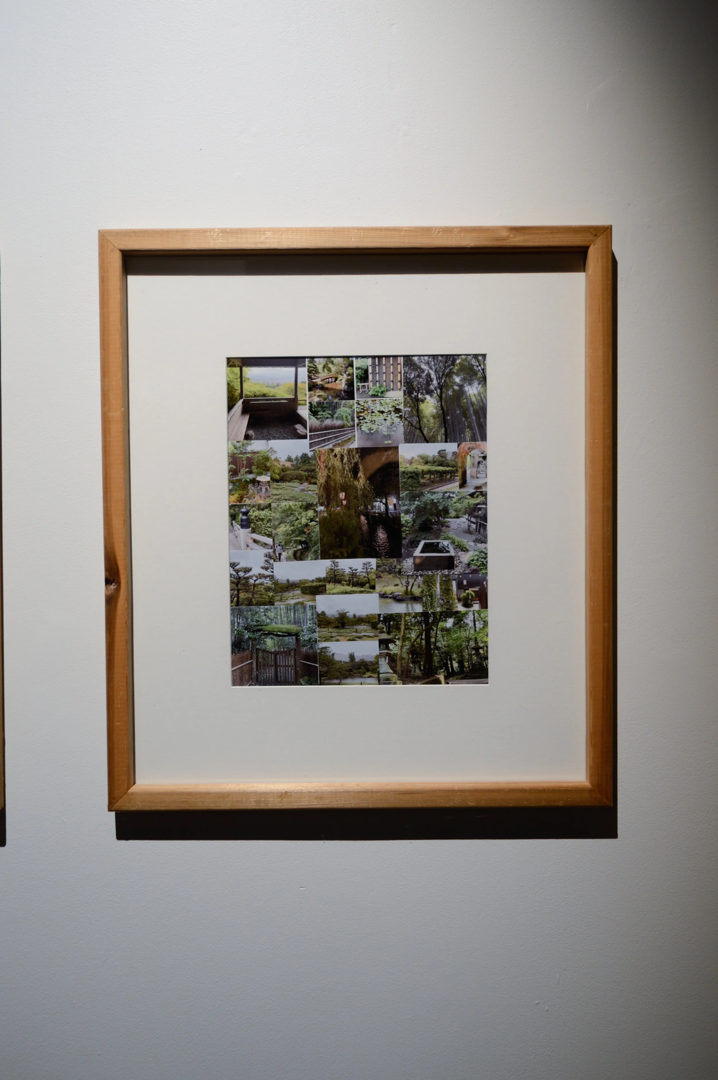 _DSC0880.jpeg