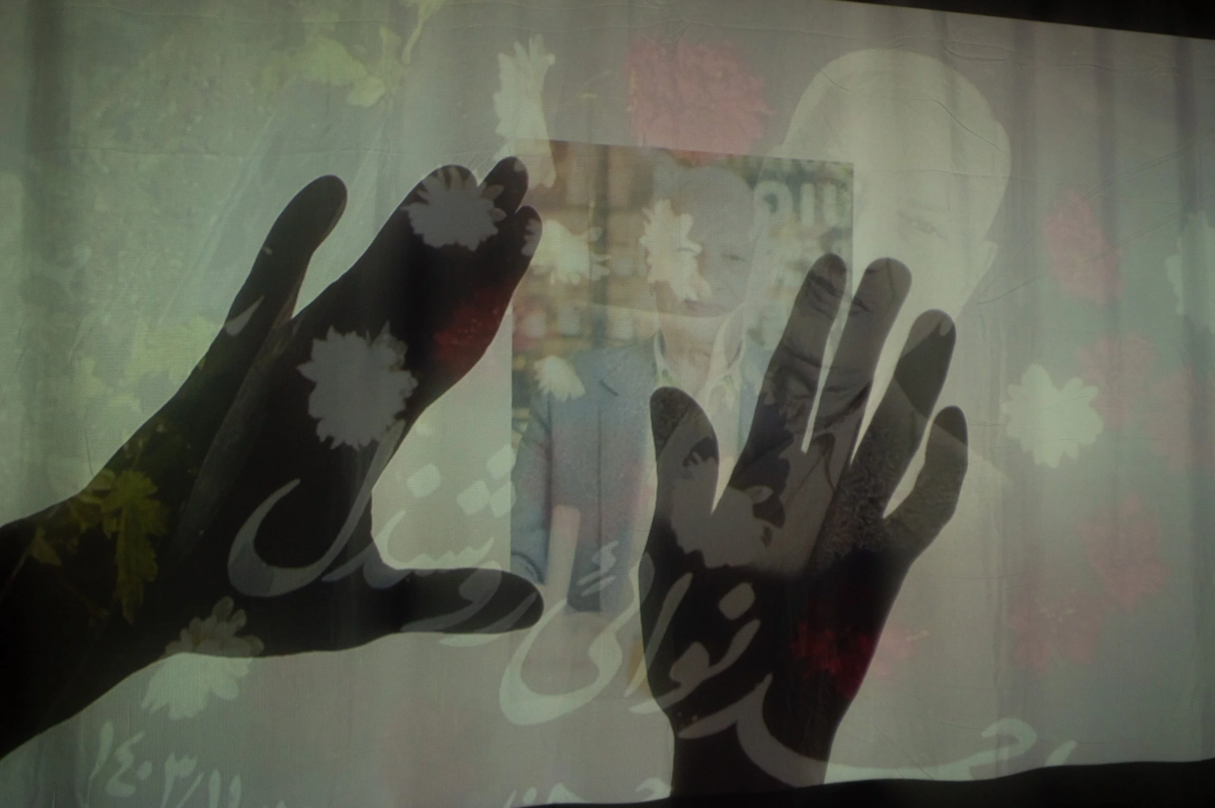 _DSC0163.jpeg