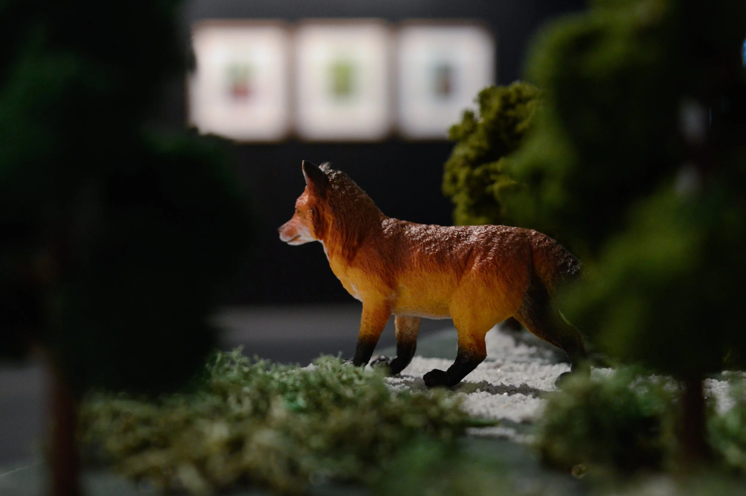 _DSC0909.jpeg