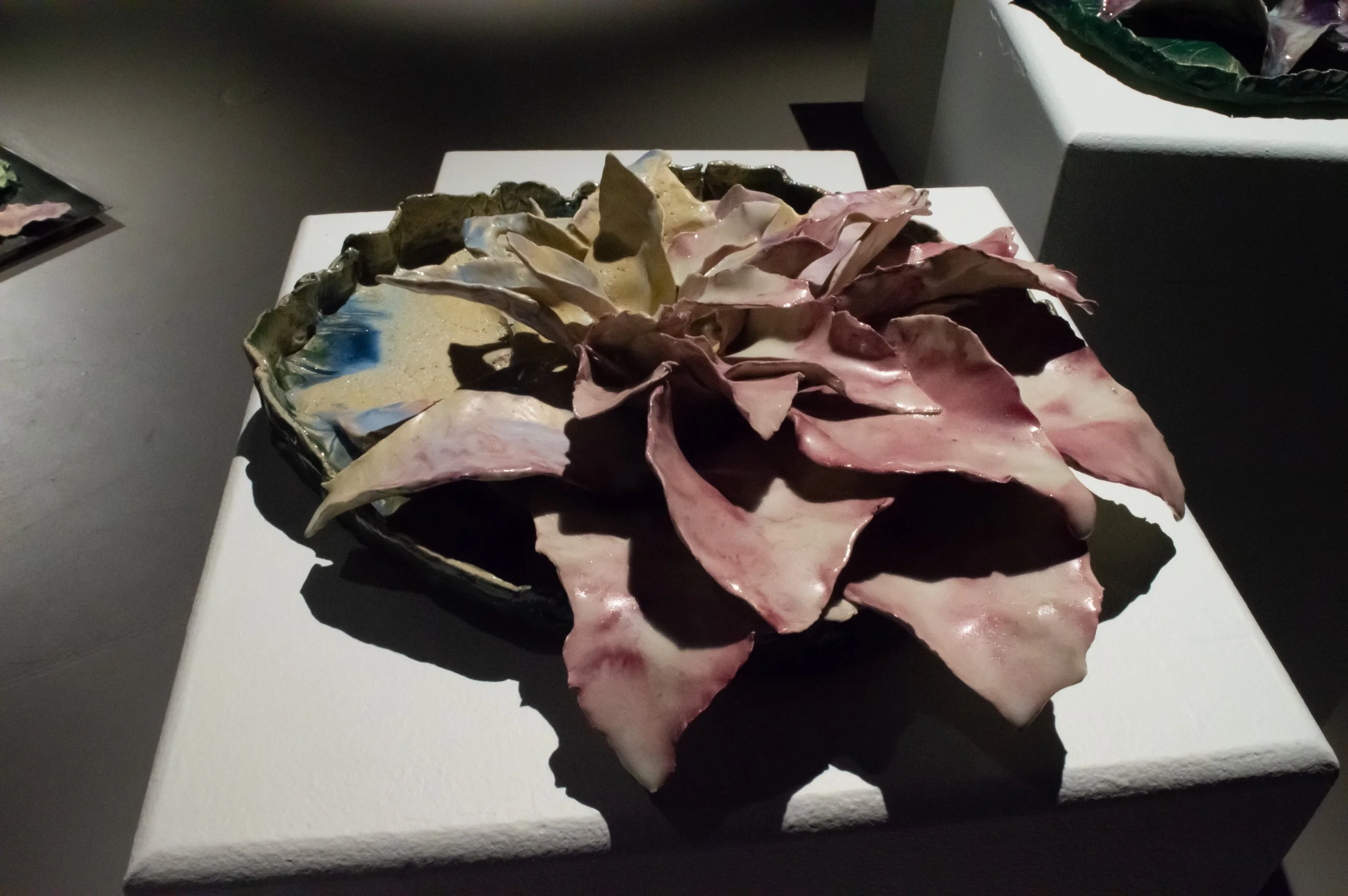 _DSC0228.jpeg