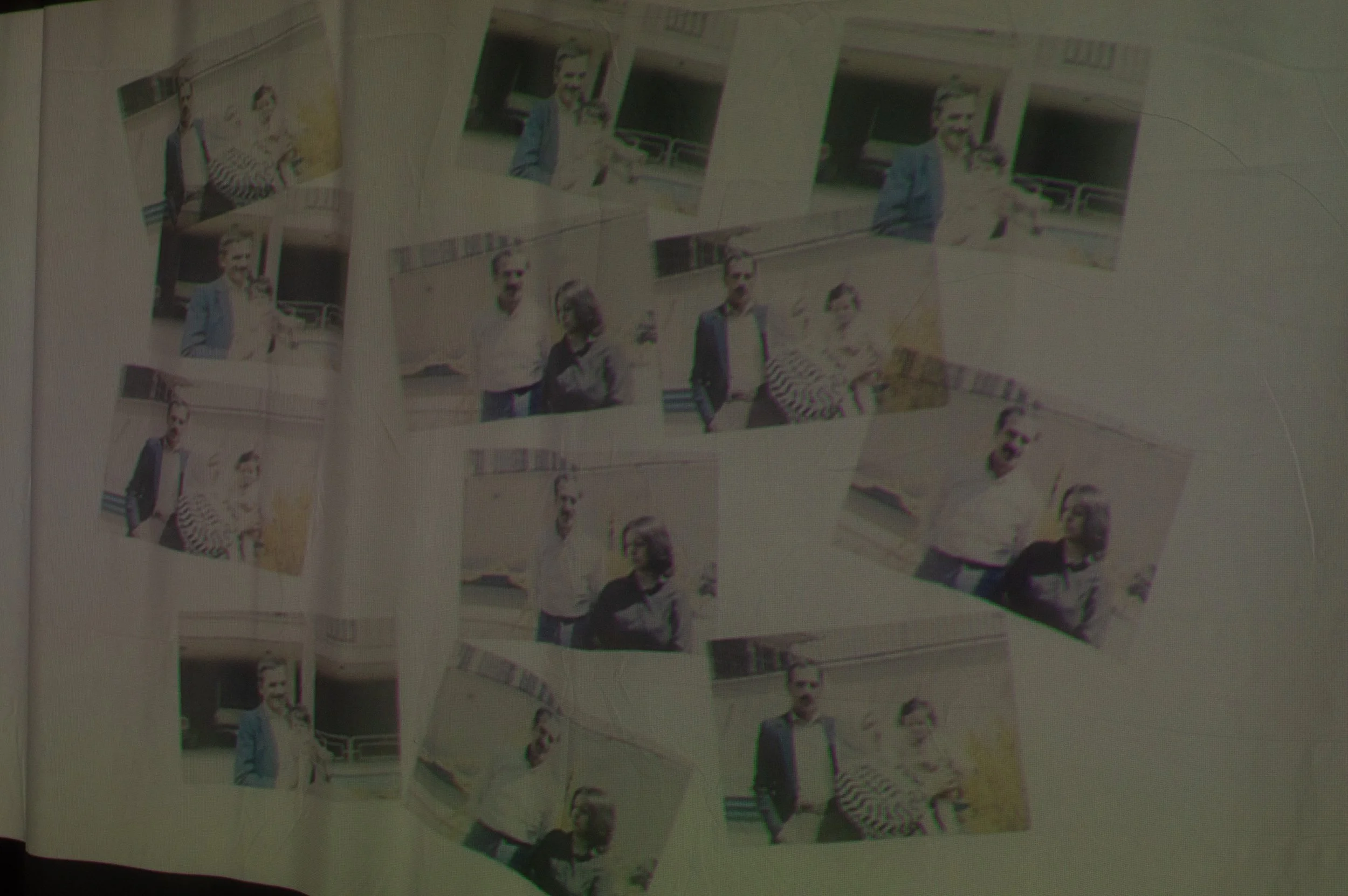 _DSC0141.jpeg