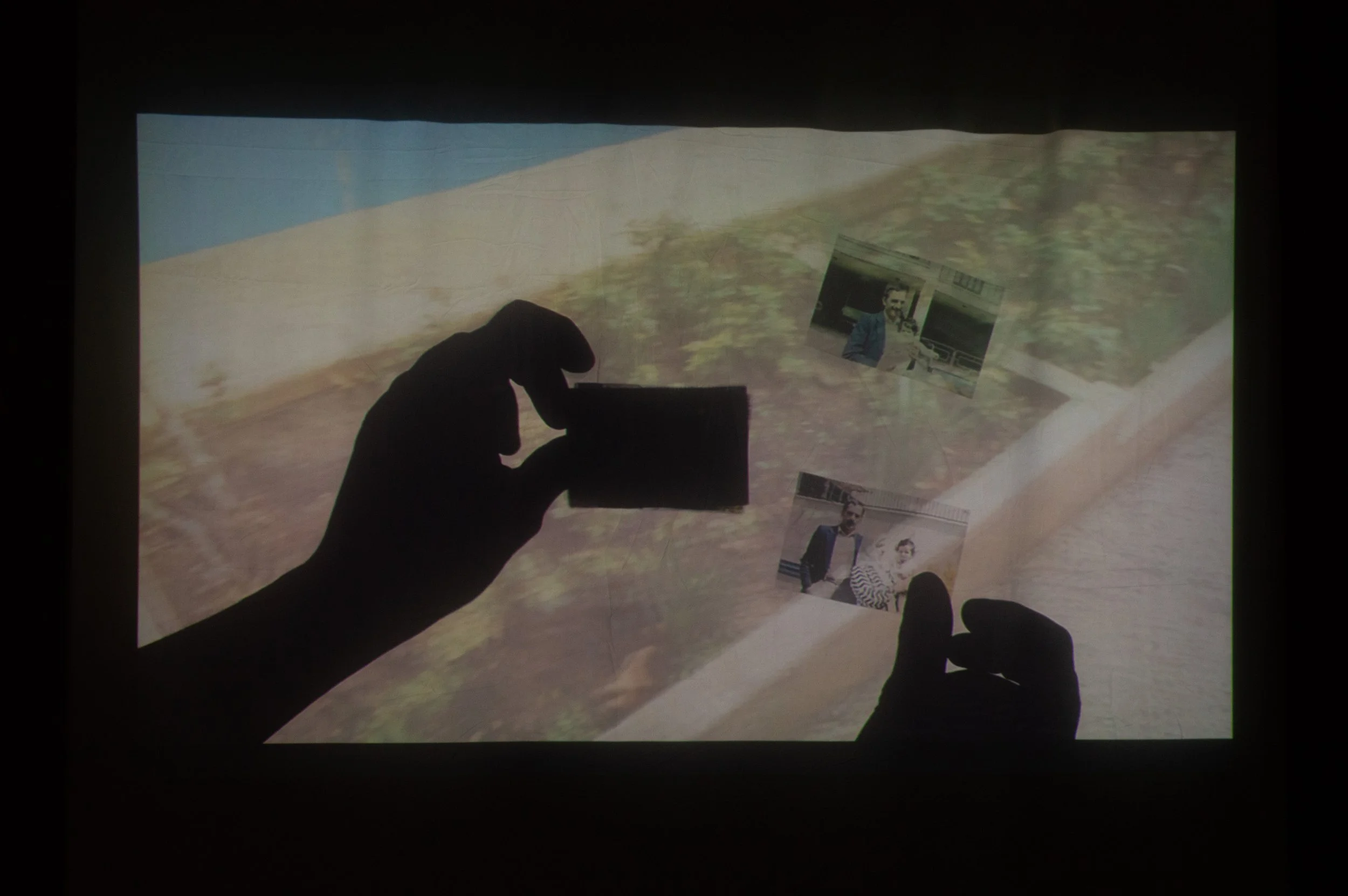 _DSC0133.jpeg