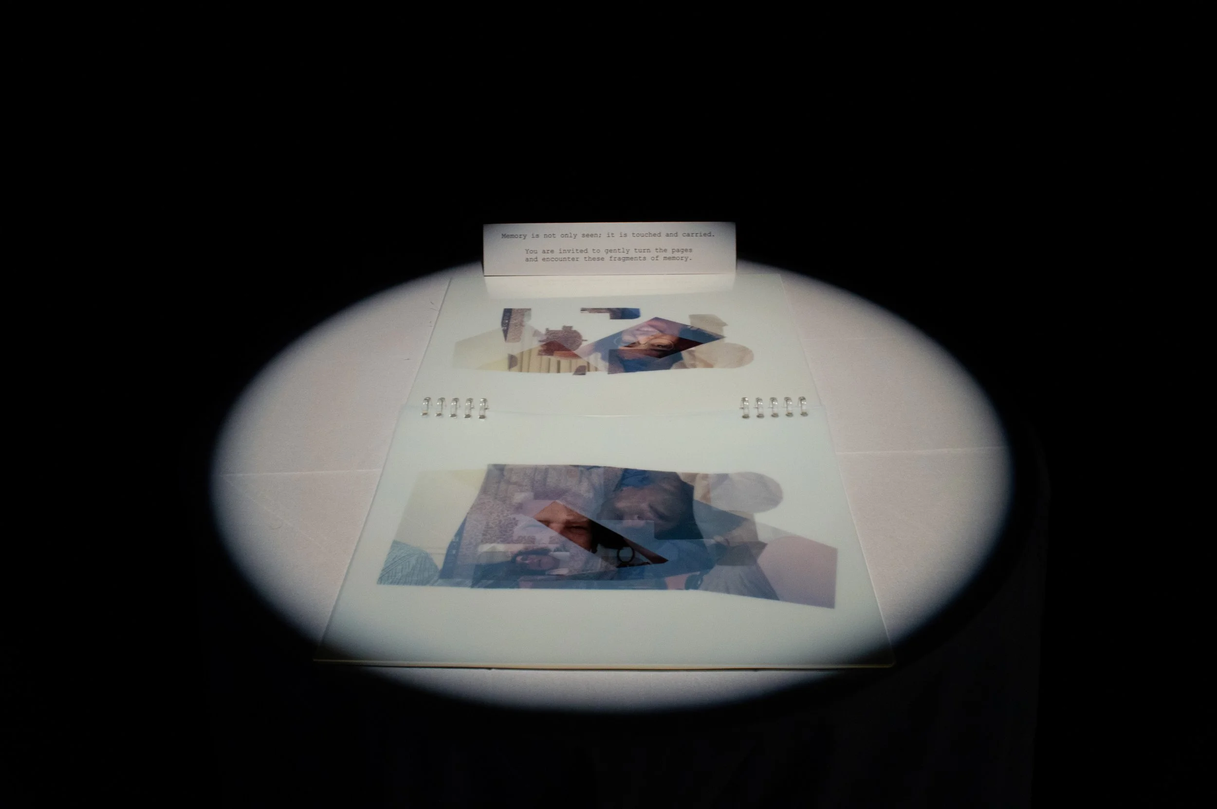 _DSC0108.jpeg