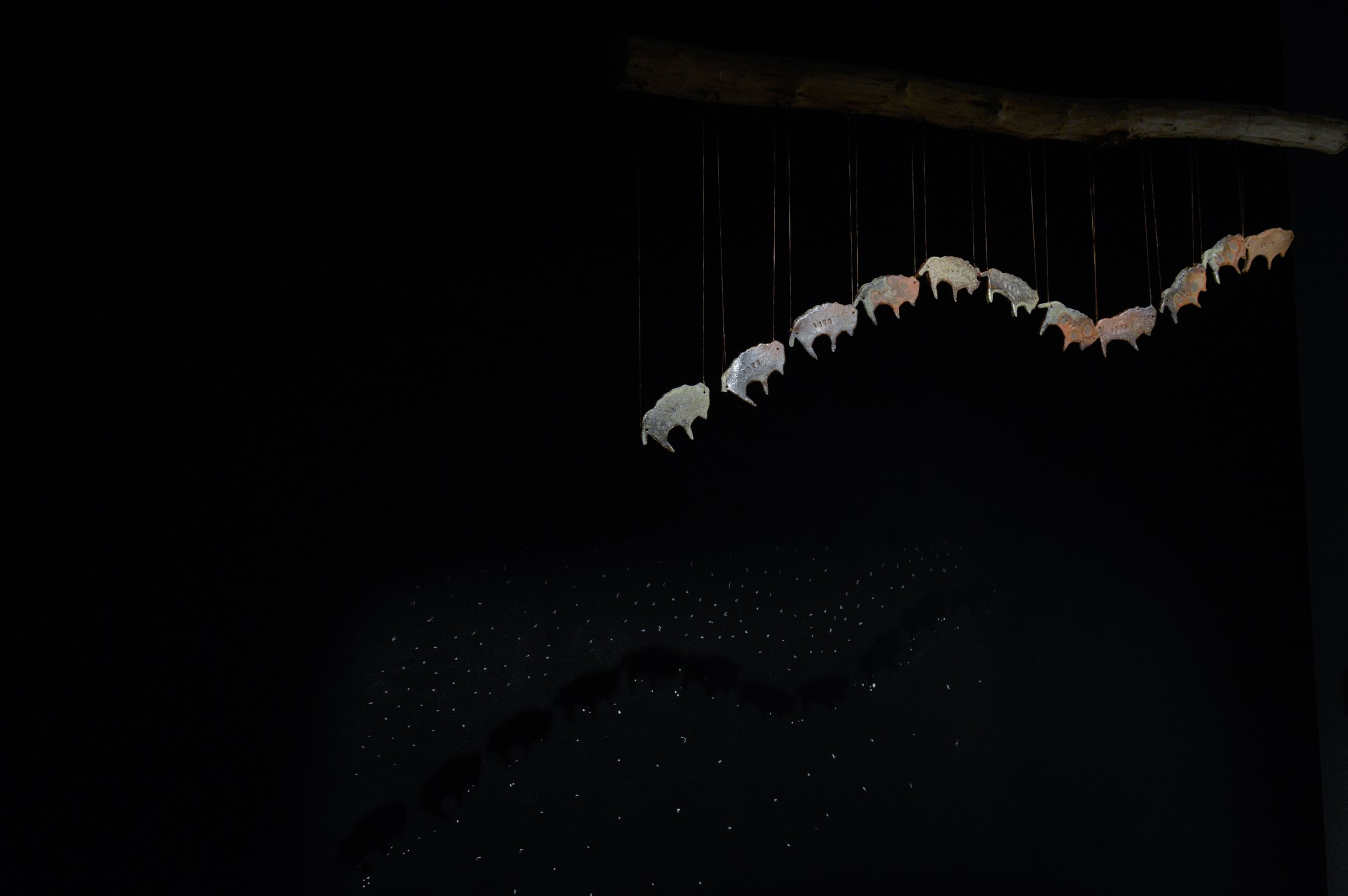 _DSC0228.jpeg