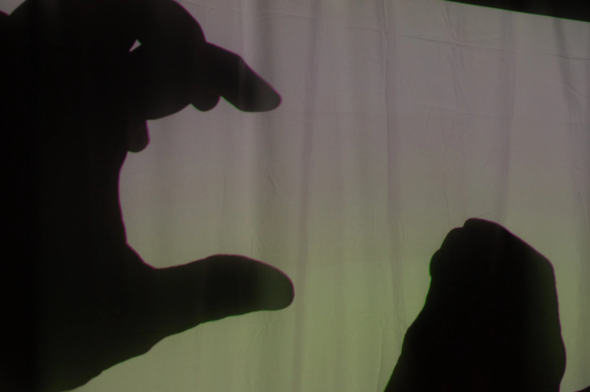 _DSC0176.jpeg